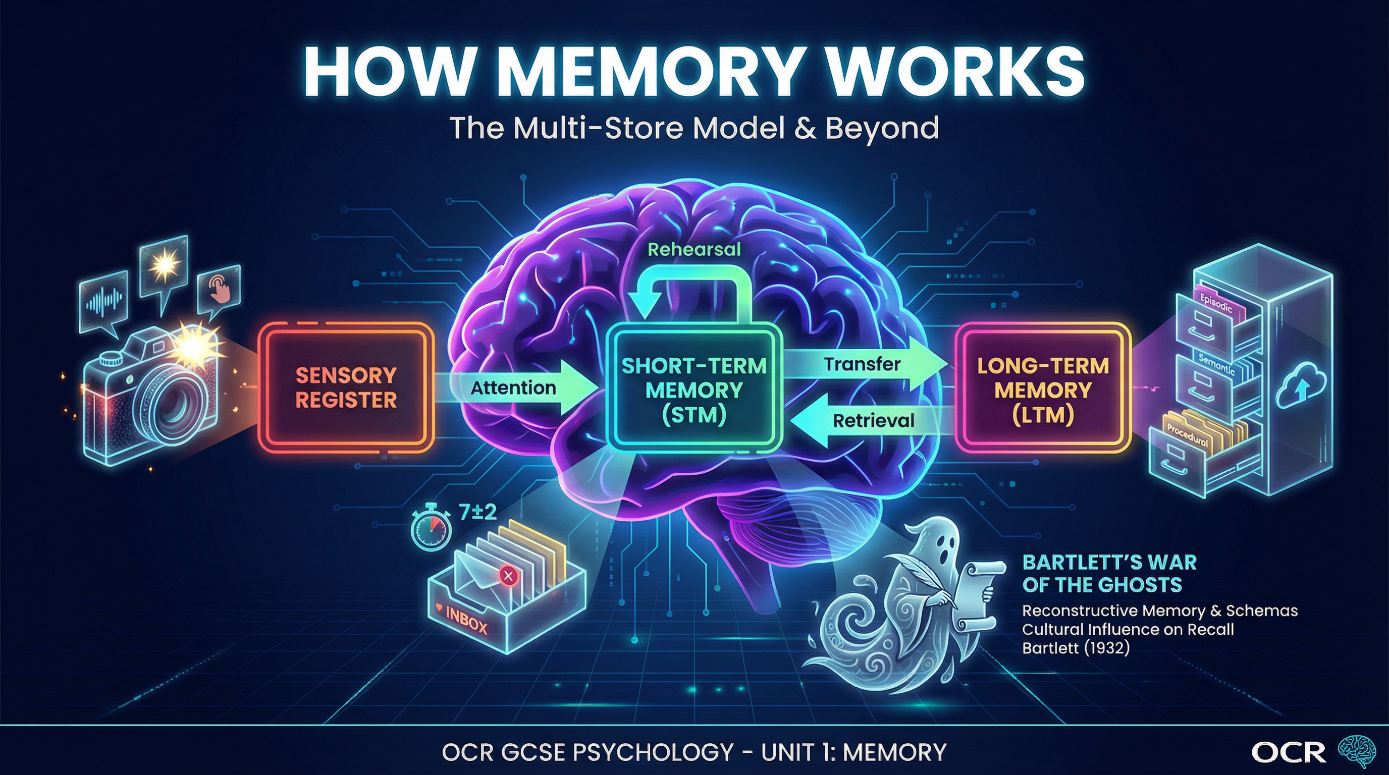 An overview of the key theories in the study of memory.