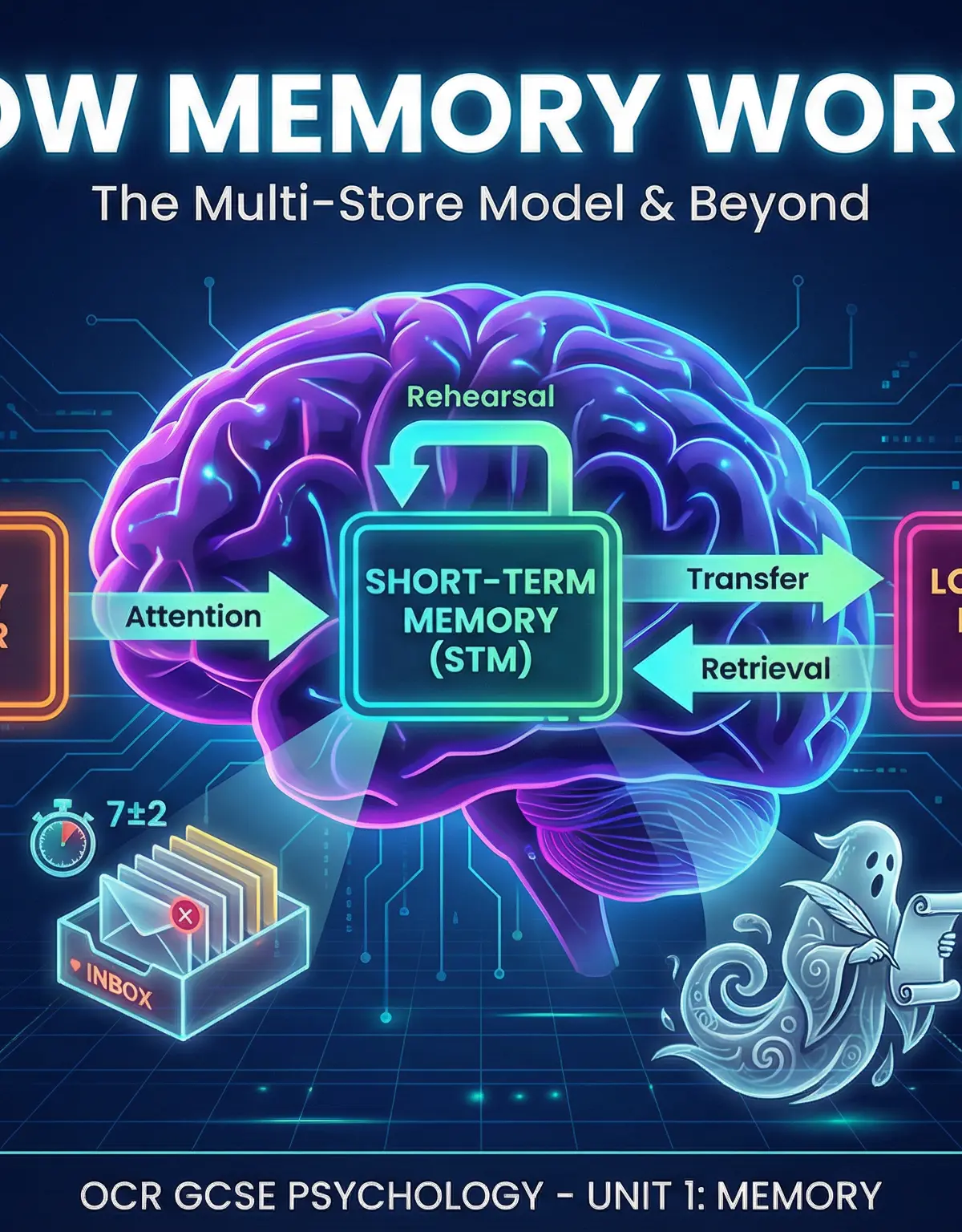 An overview of the key theories in the study of memory.