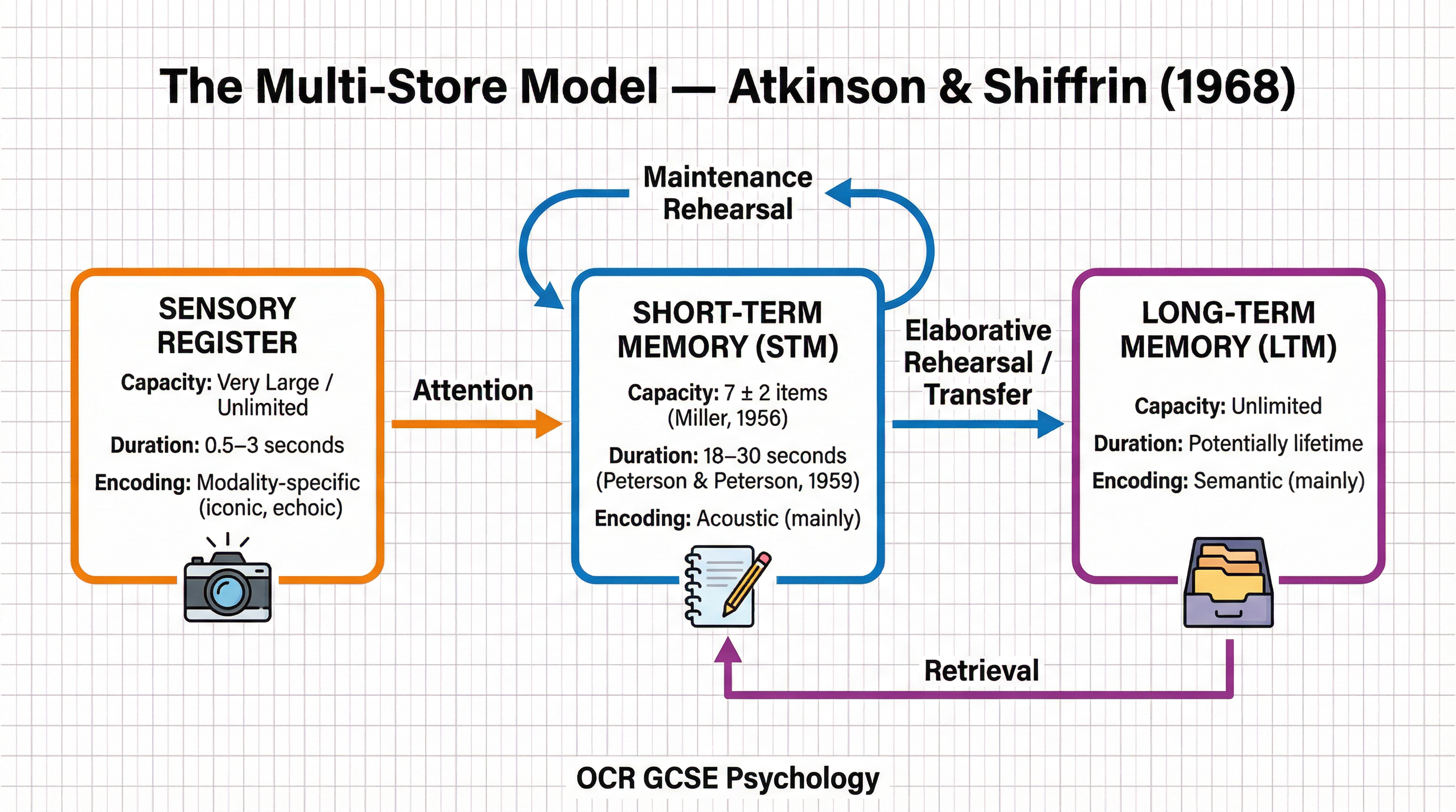The flow of information through the three stores of the Multi-Store Model.