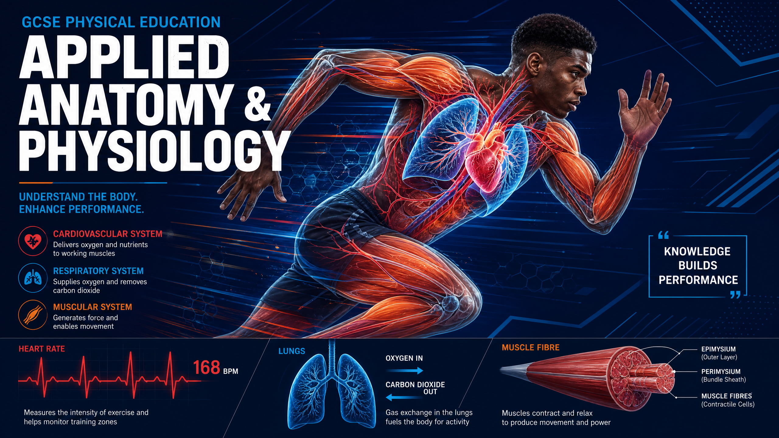 Applied Anatomy and Physiology Overview