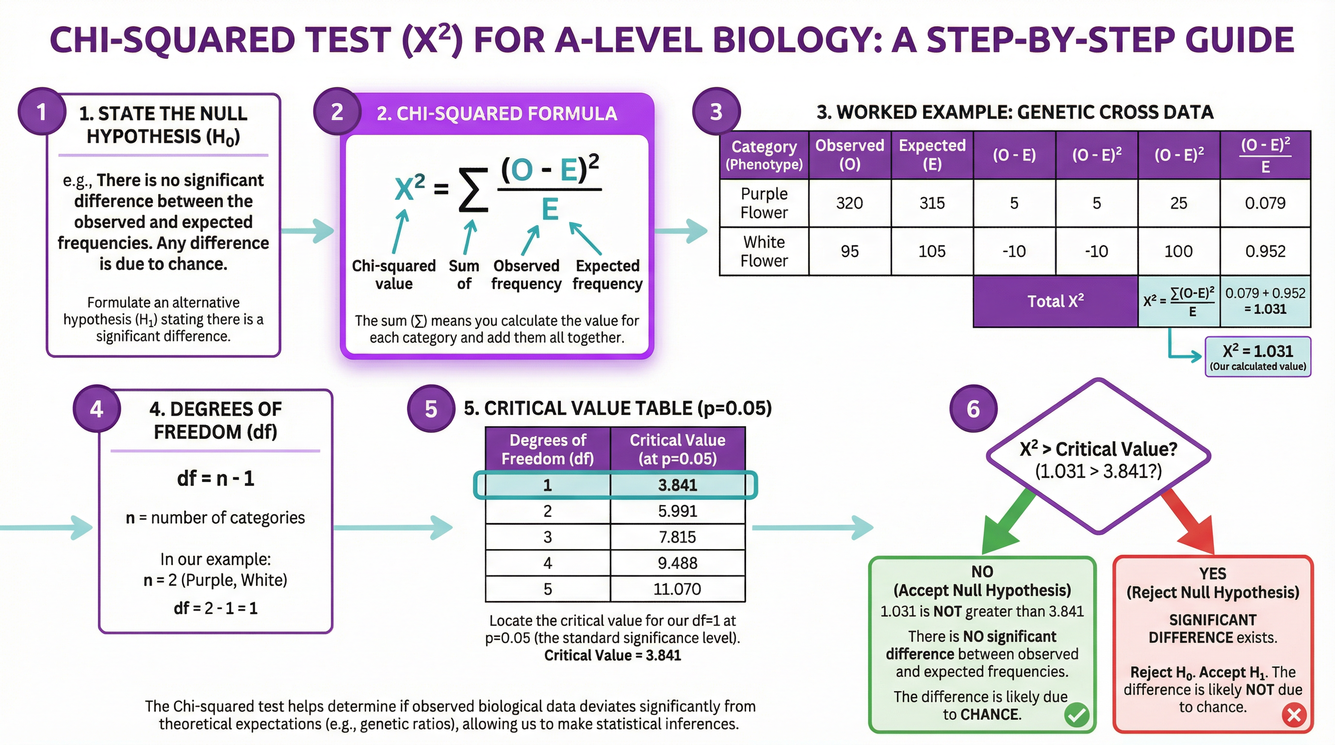 Inheritance – Biology – A-Level