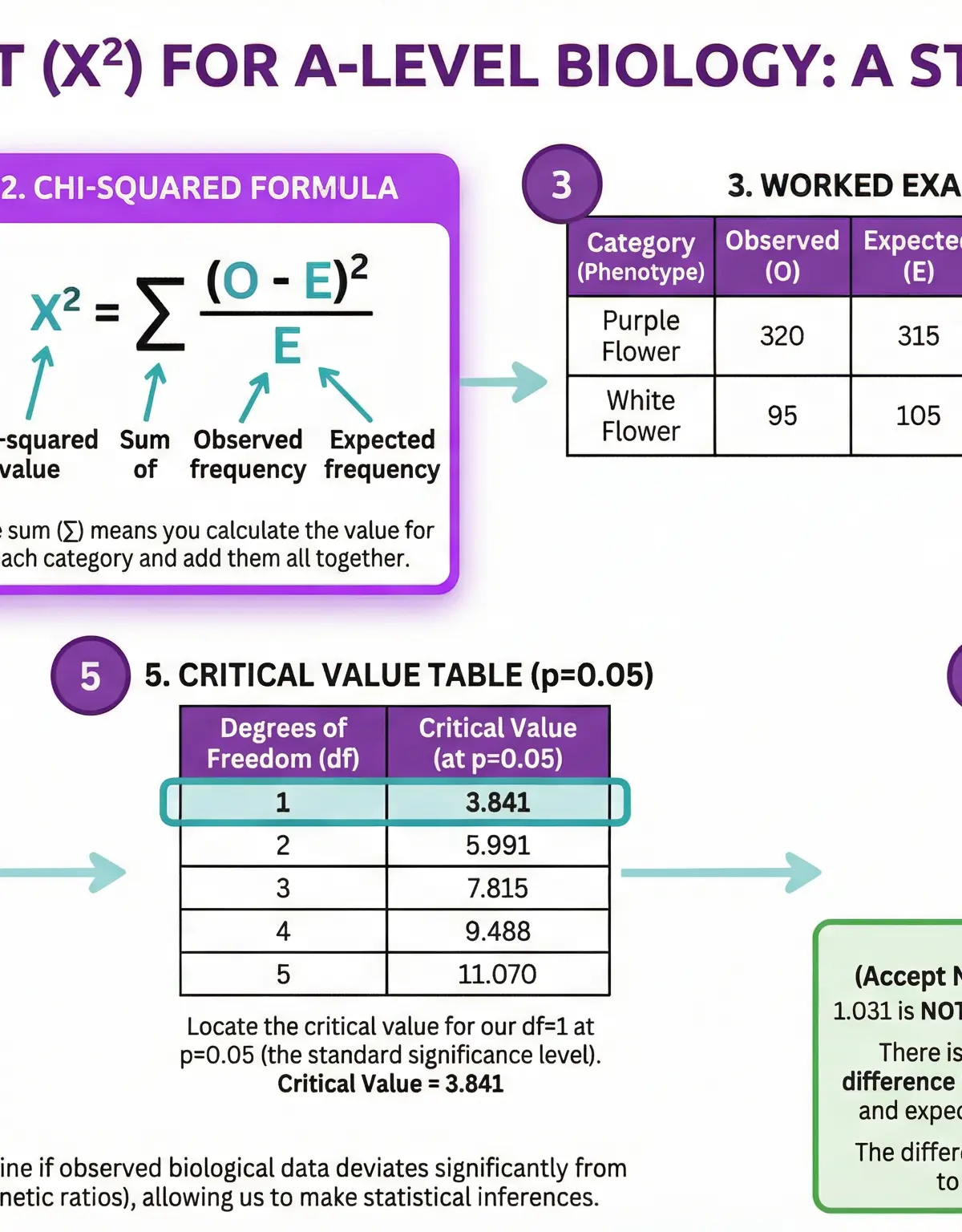 Inheritance – Biology – A-Level