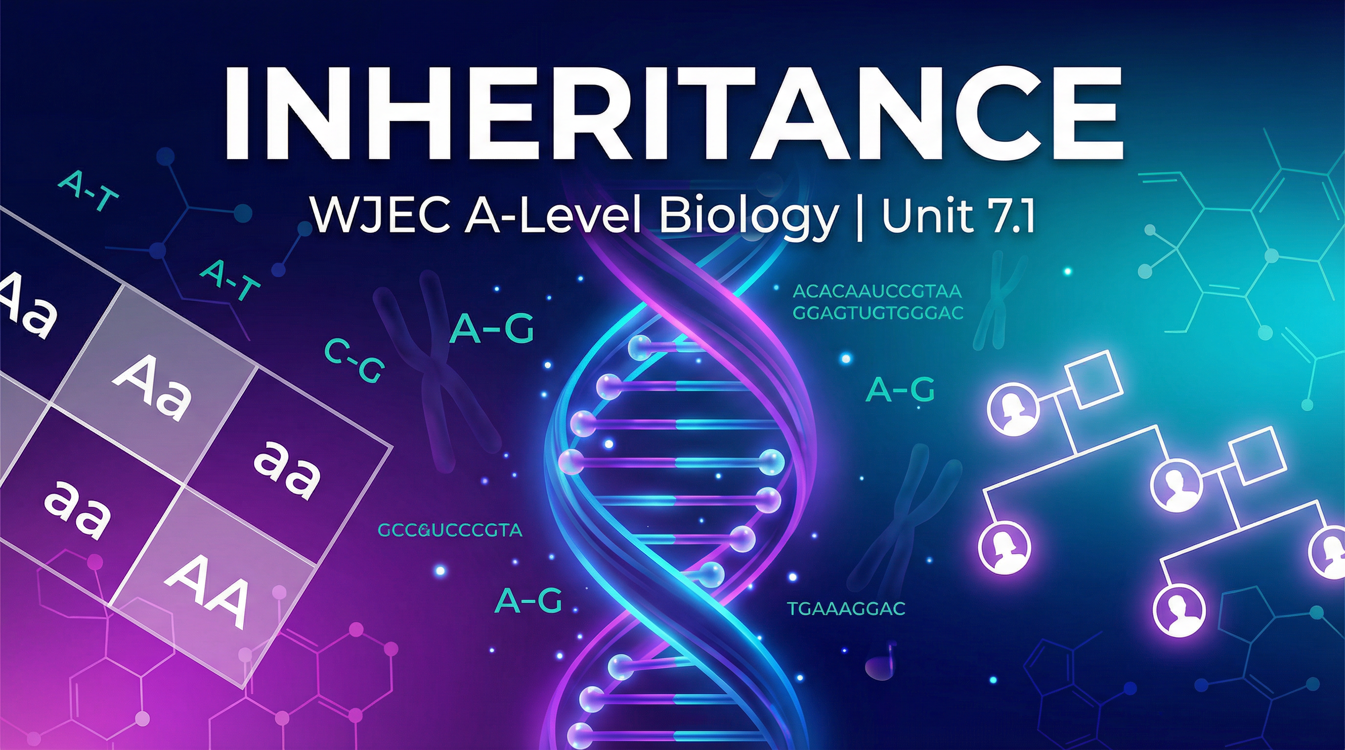 Inheritance – Biology – A-Level