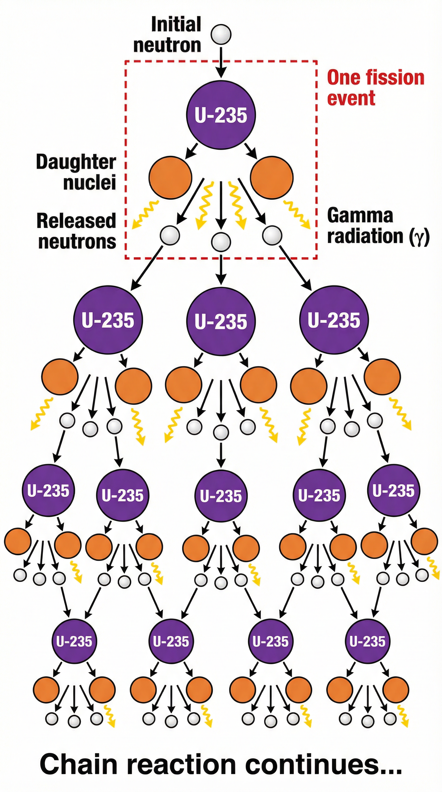 Diagram of a Nuclear Chain Reaction