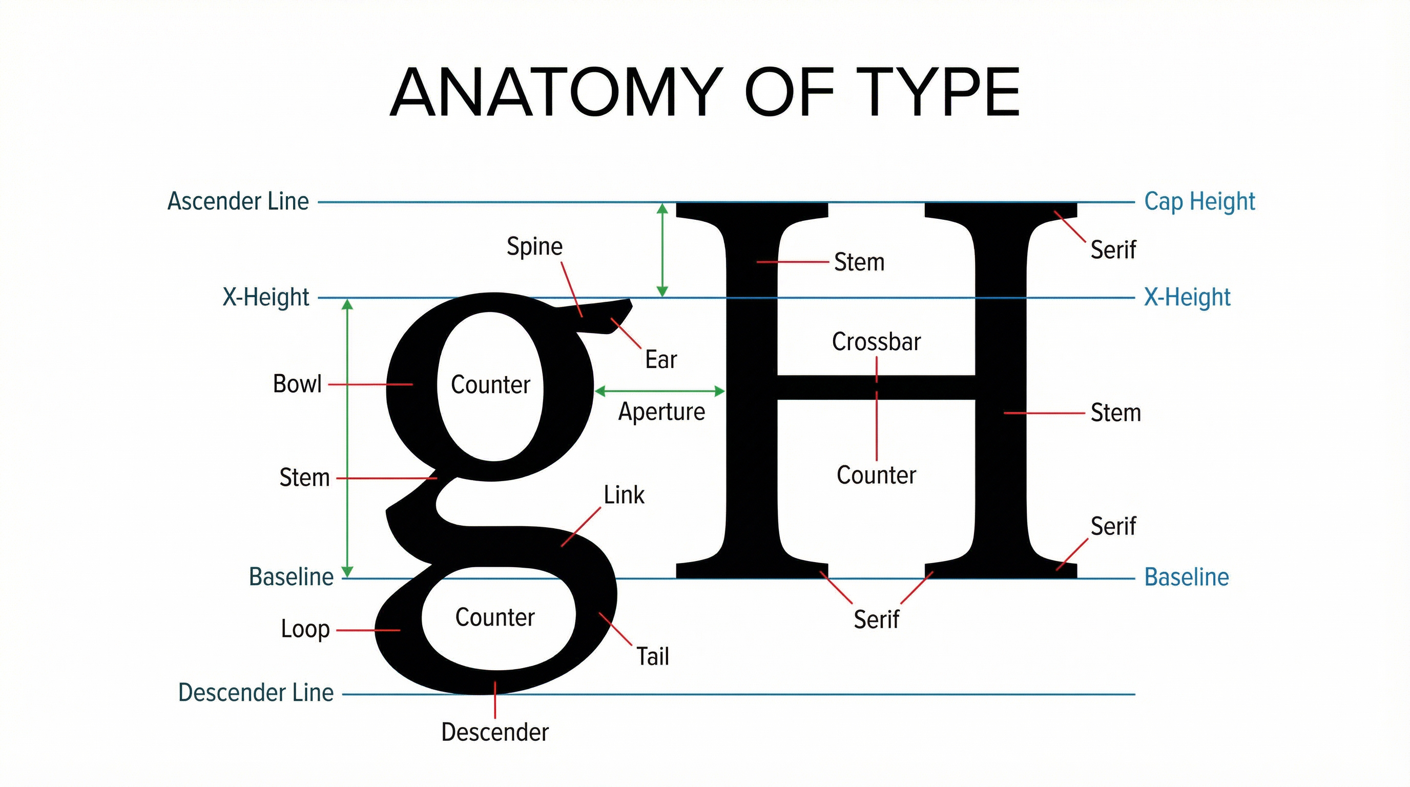 Typography – Art and Design – GCSE