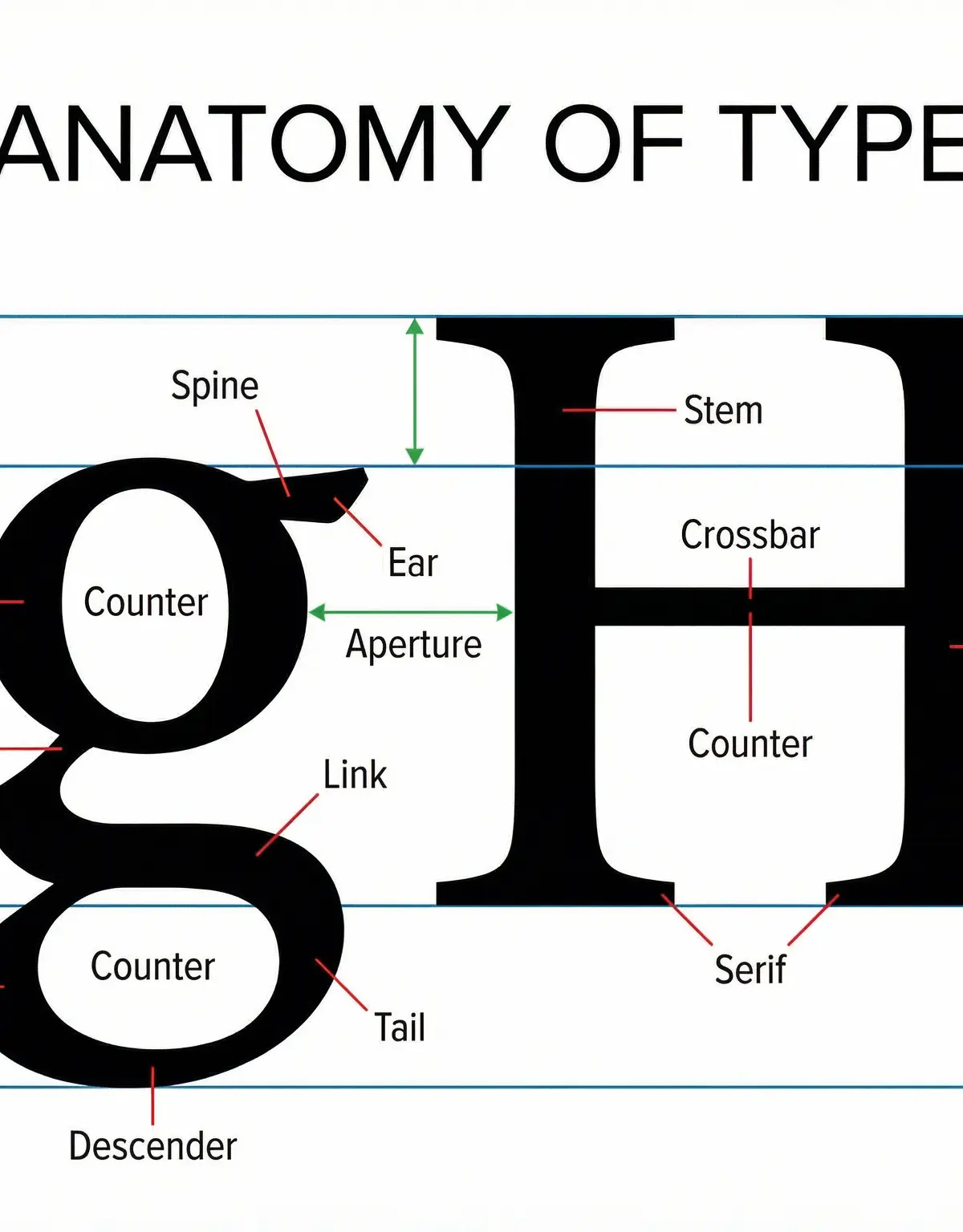 Typography โ Art and Design โ GCSE