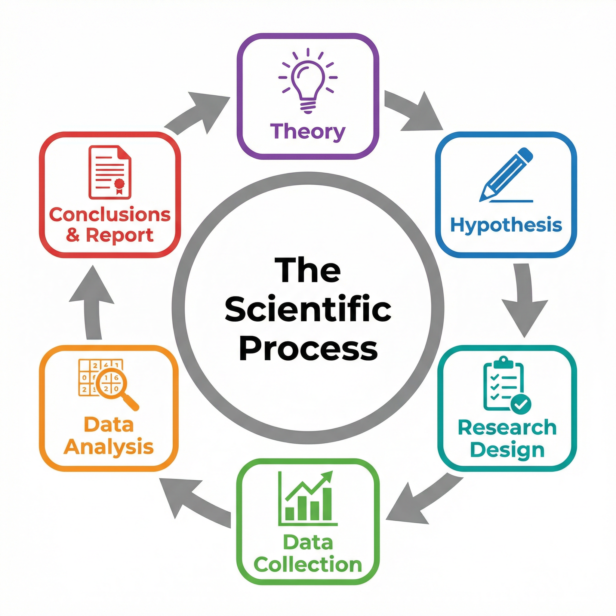The Scientific Process Cycle