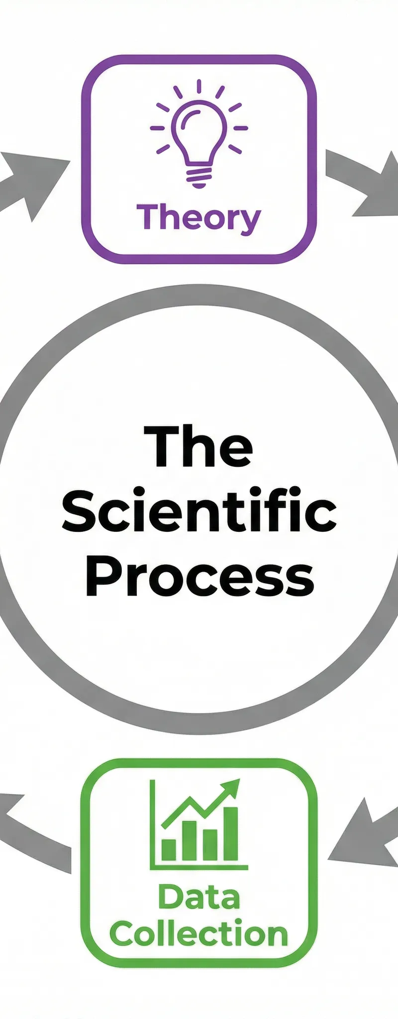 The Scientific Process Cycle