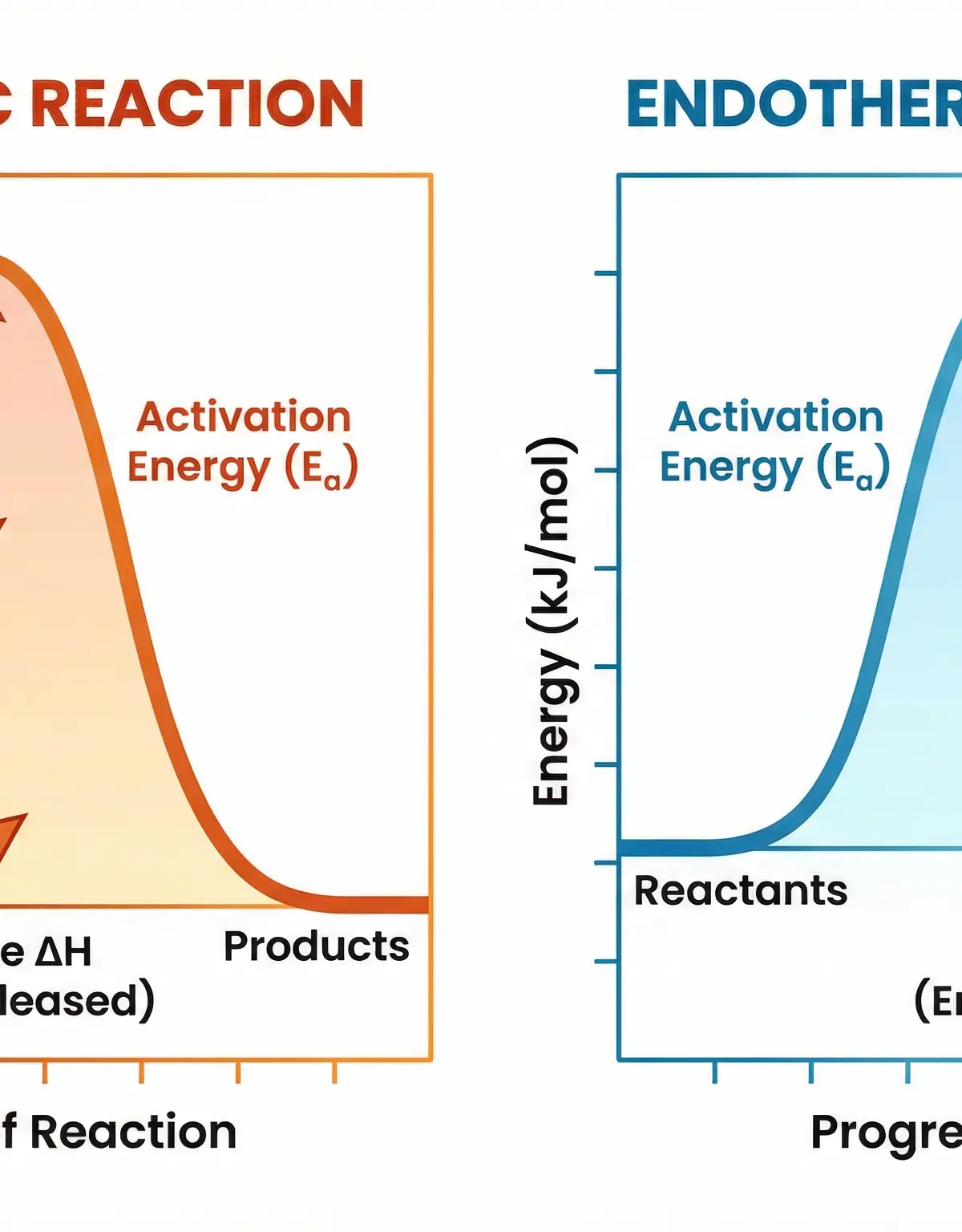 Exothermic vs Endothermic Reaction Profiles