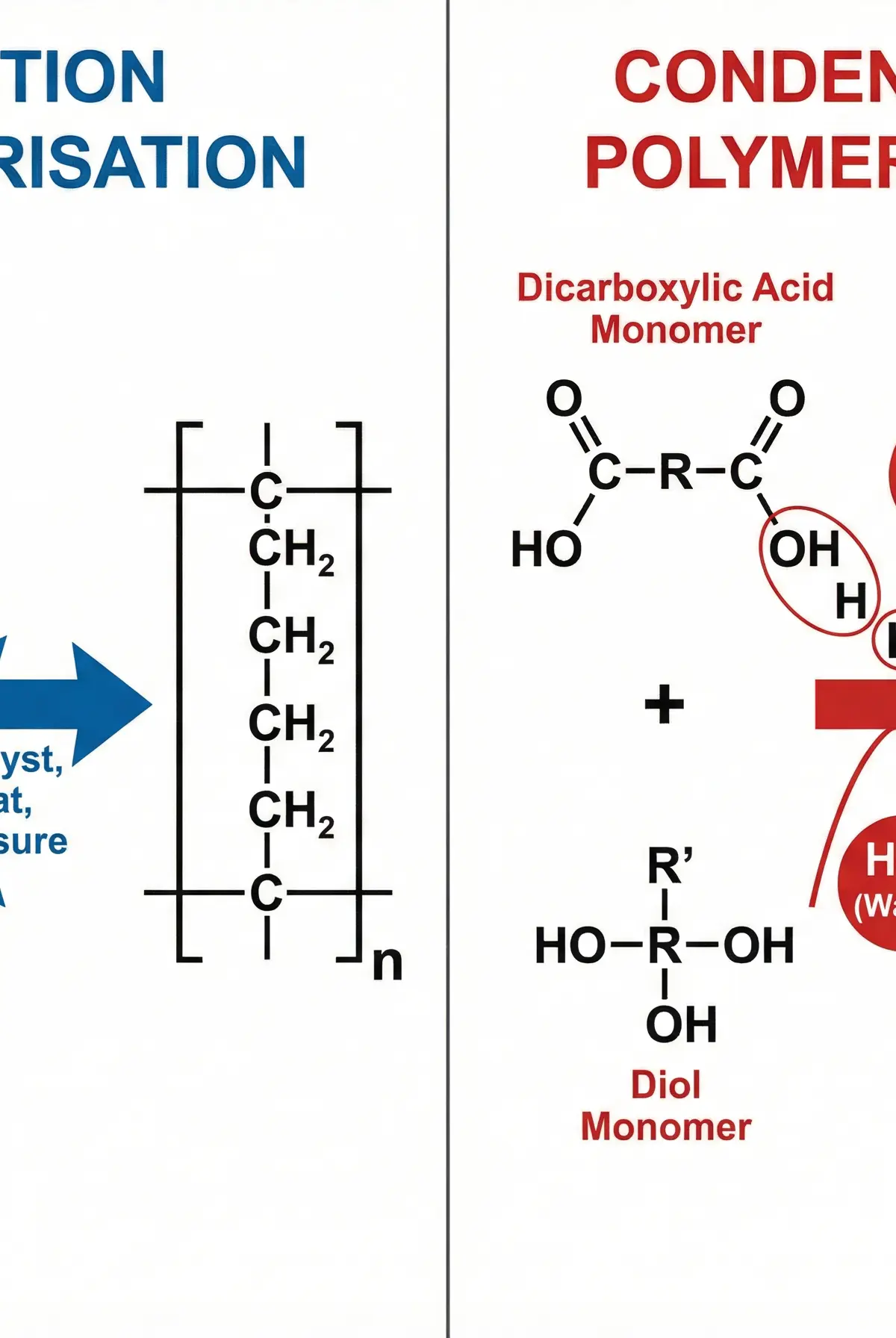 Comparison of Addition and Condensation Polymerisation.