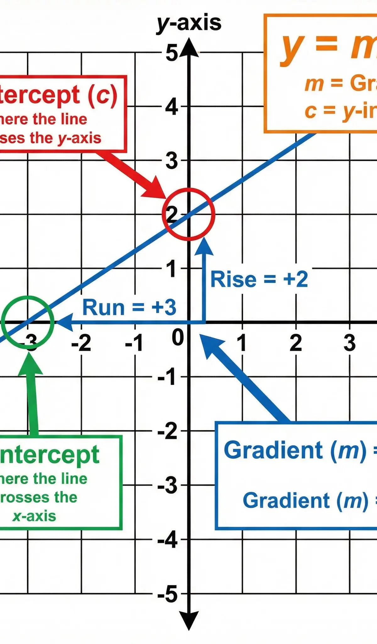 The Anatomy of a Linear Graph