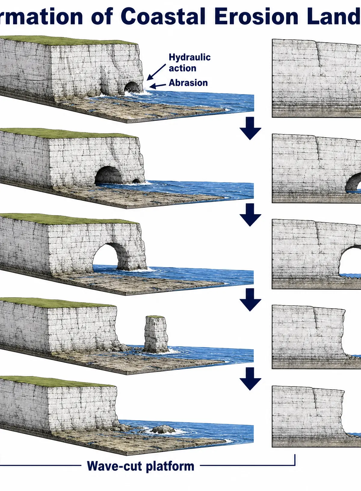 Formation of Coastal Erosion Landforms