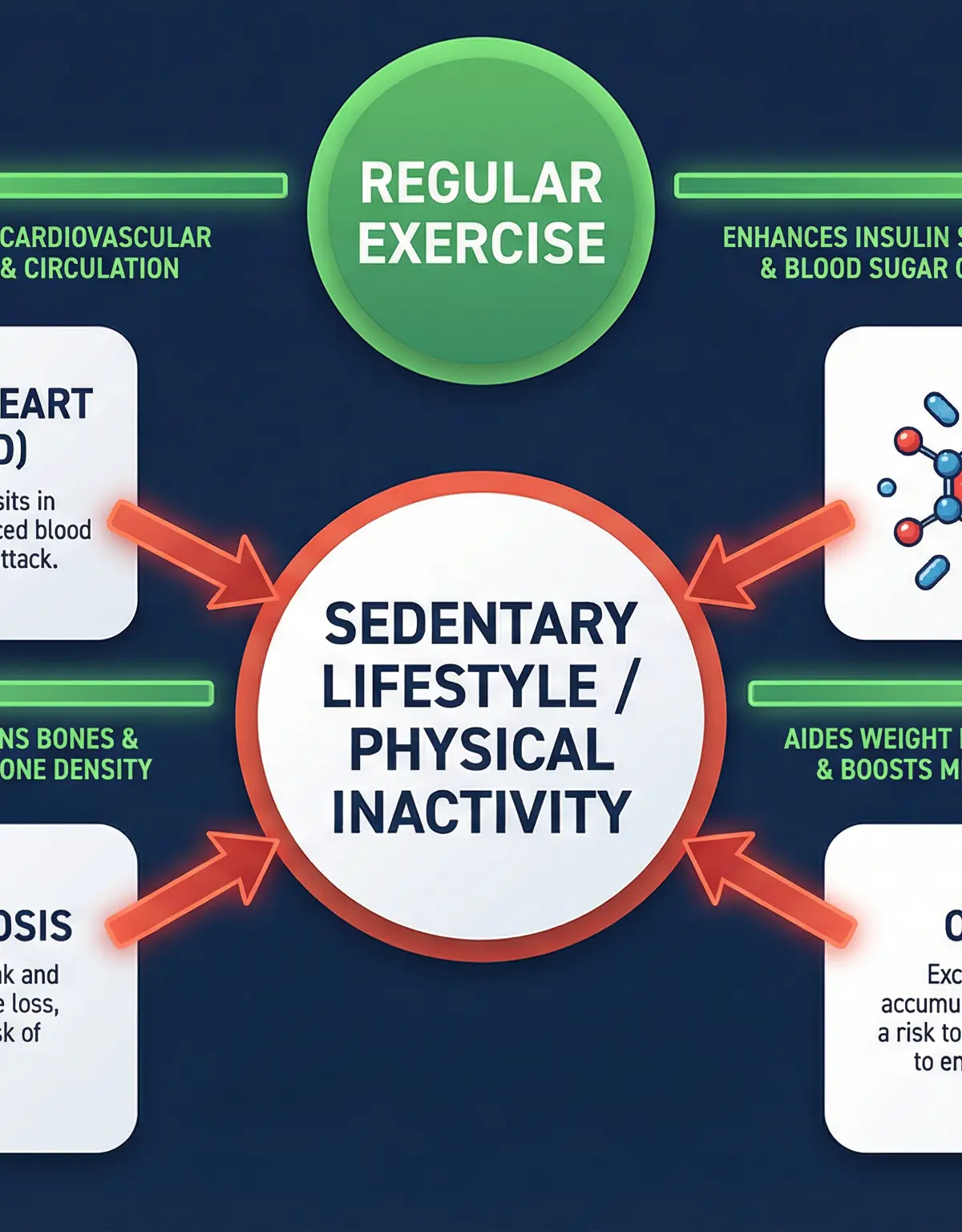 The impact of exercise on preventing common hypokinetic diseases.
