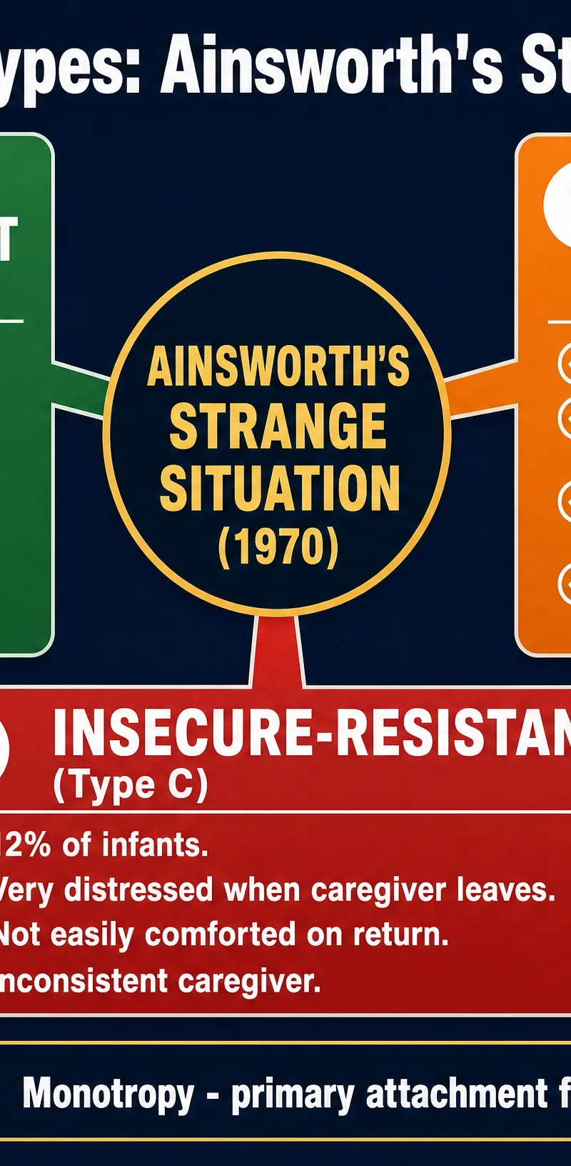 Ainsworth's Strange Situation Attachment Types