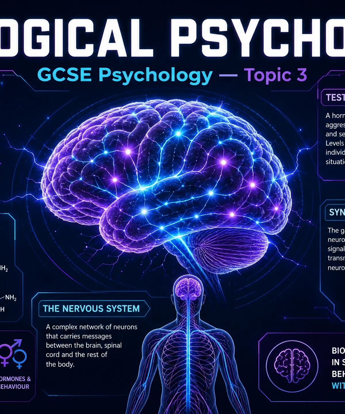 Biological Psychology: The Brain and Behaviour