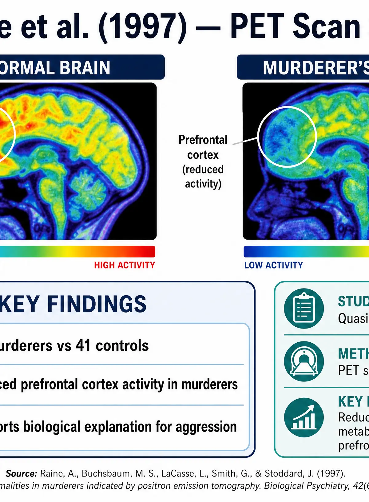 Raine et al. (1997) PET Scan Findings