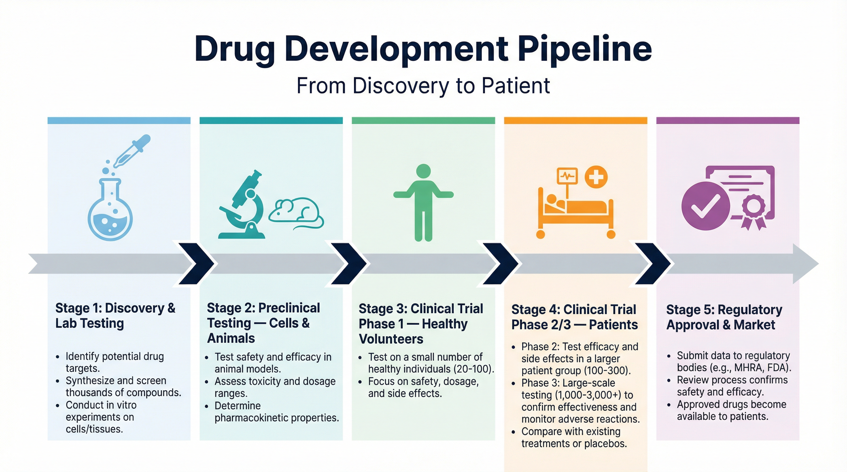 The Drug Development Pipeline
