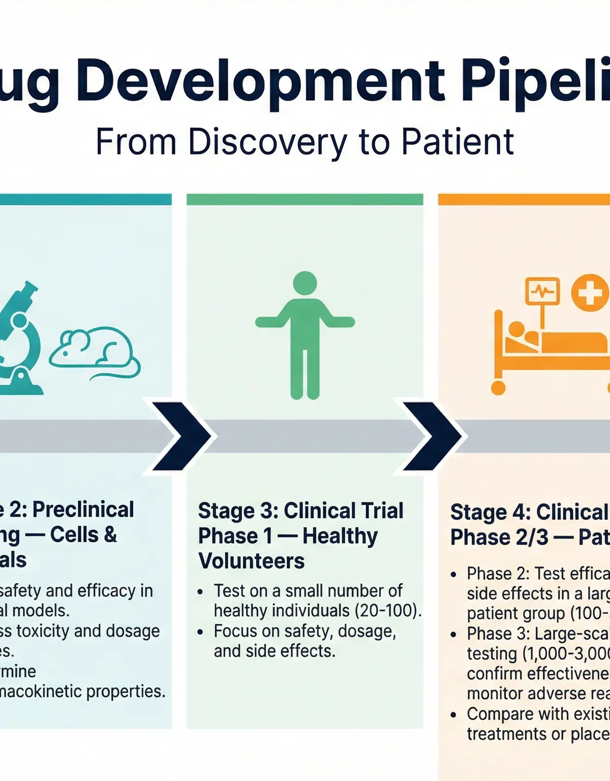 The Drug Development Pipeline