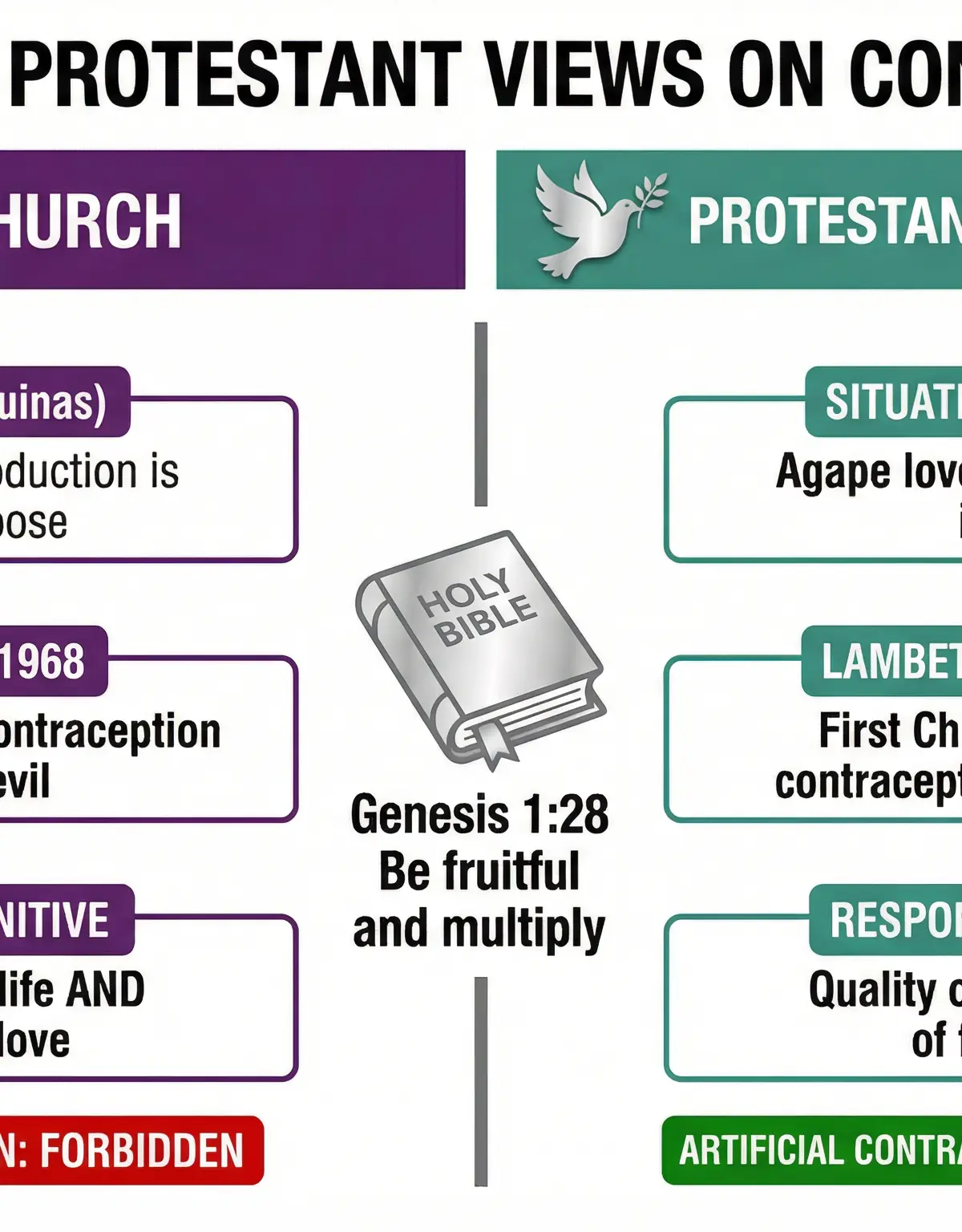 Catholic vs Protestant Views on Contraception