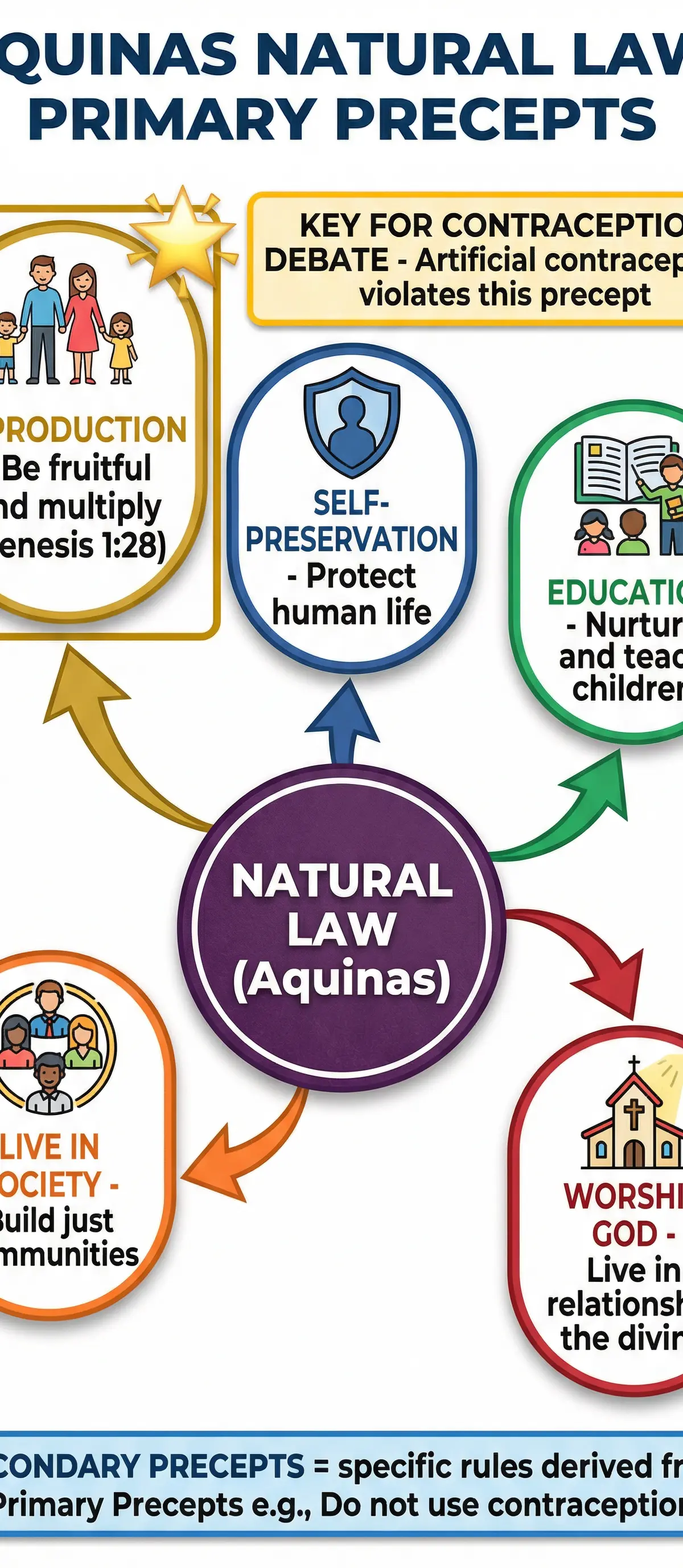 Aquinas's Natural Law: Primary Precepts