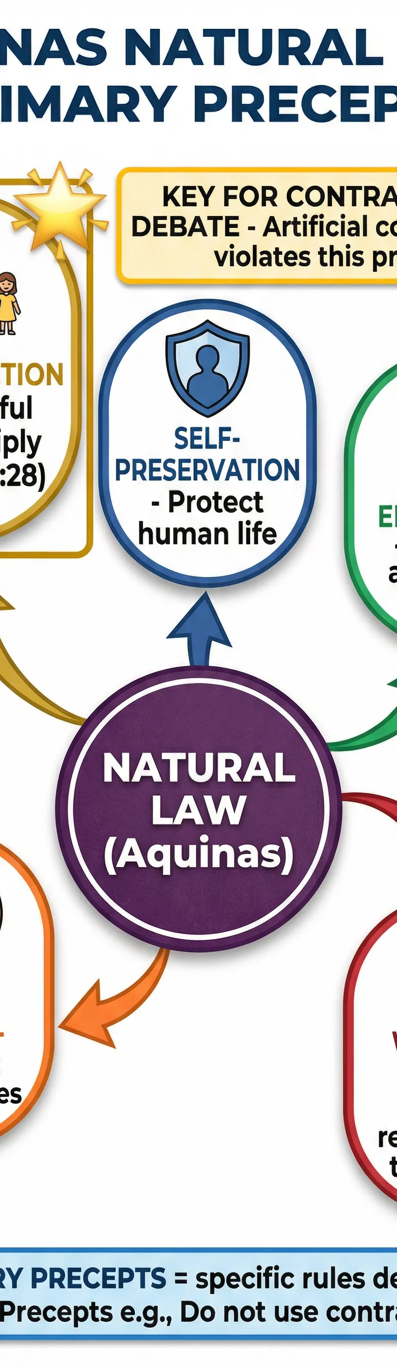Aquinas's Natural Law: Primary Precepts