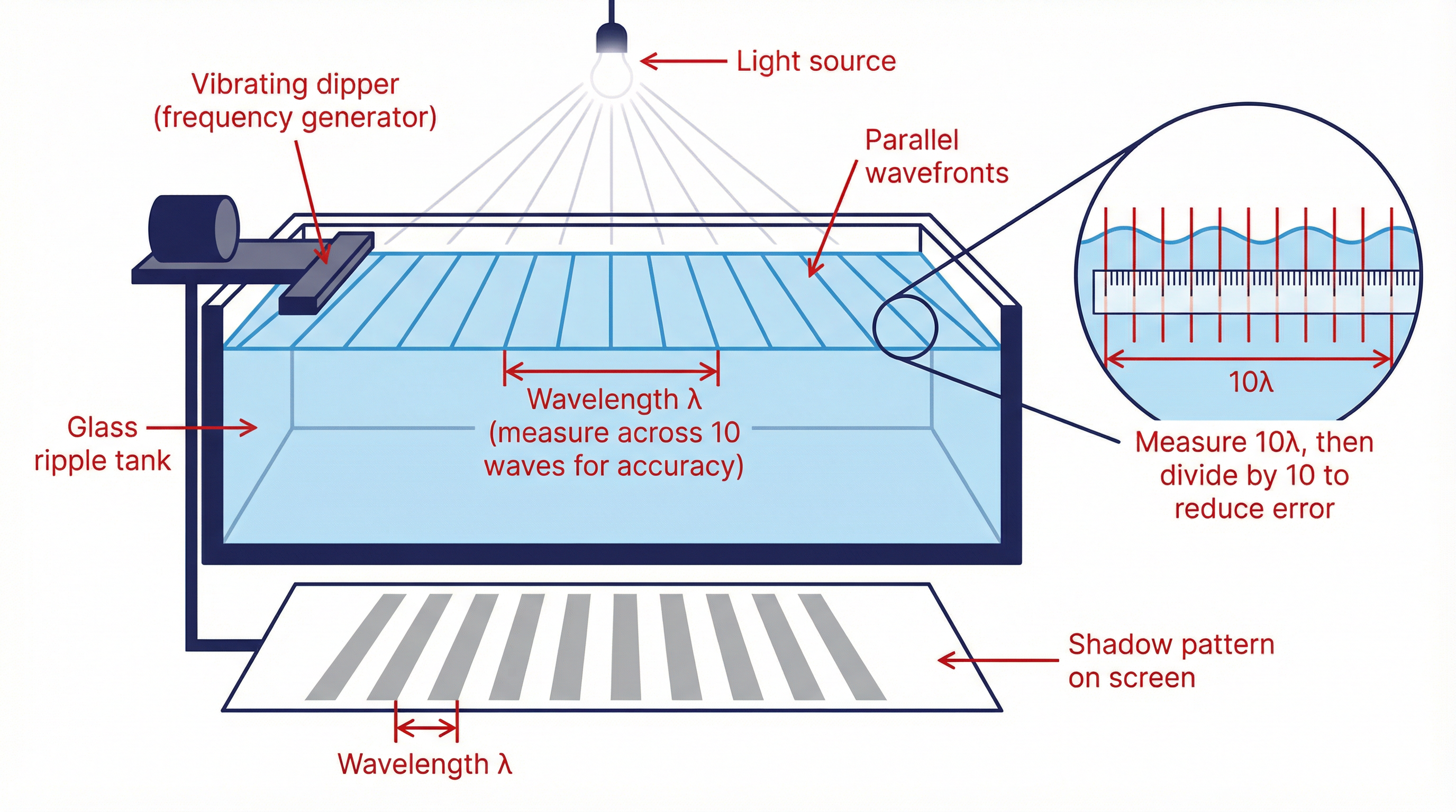 Apparatus setup for measuring wave speed in water using a ripple tank.