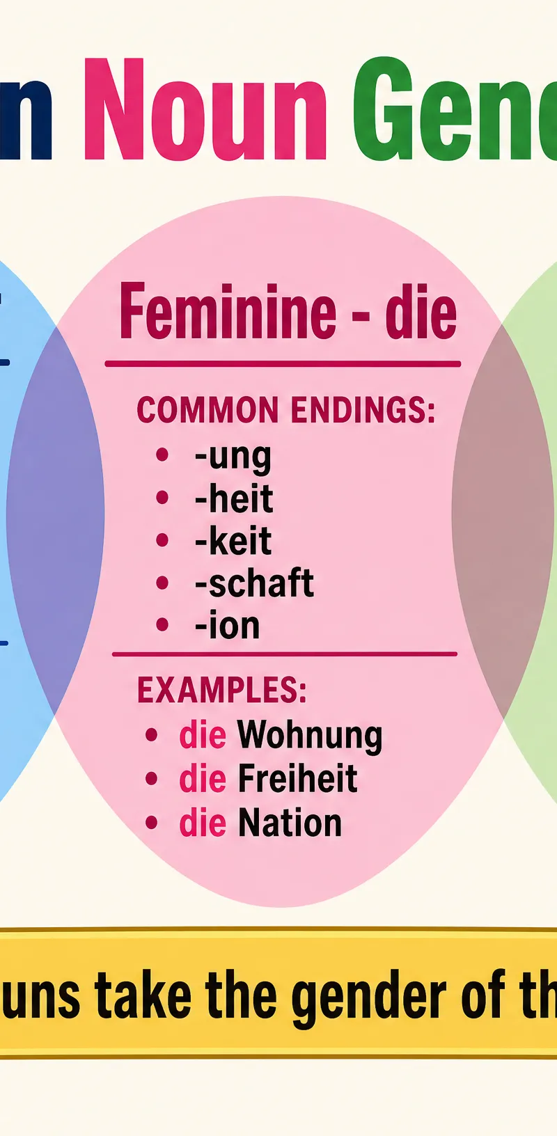 Noun Gender Tips Diagram