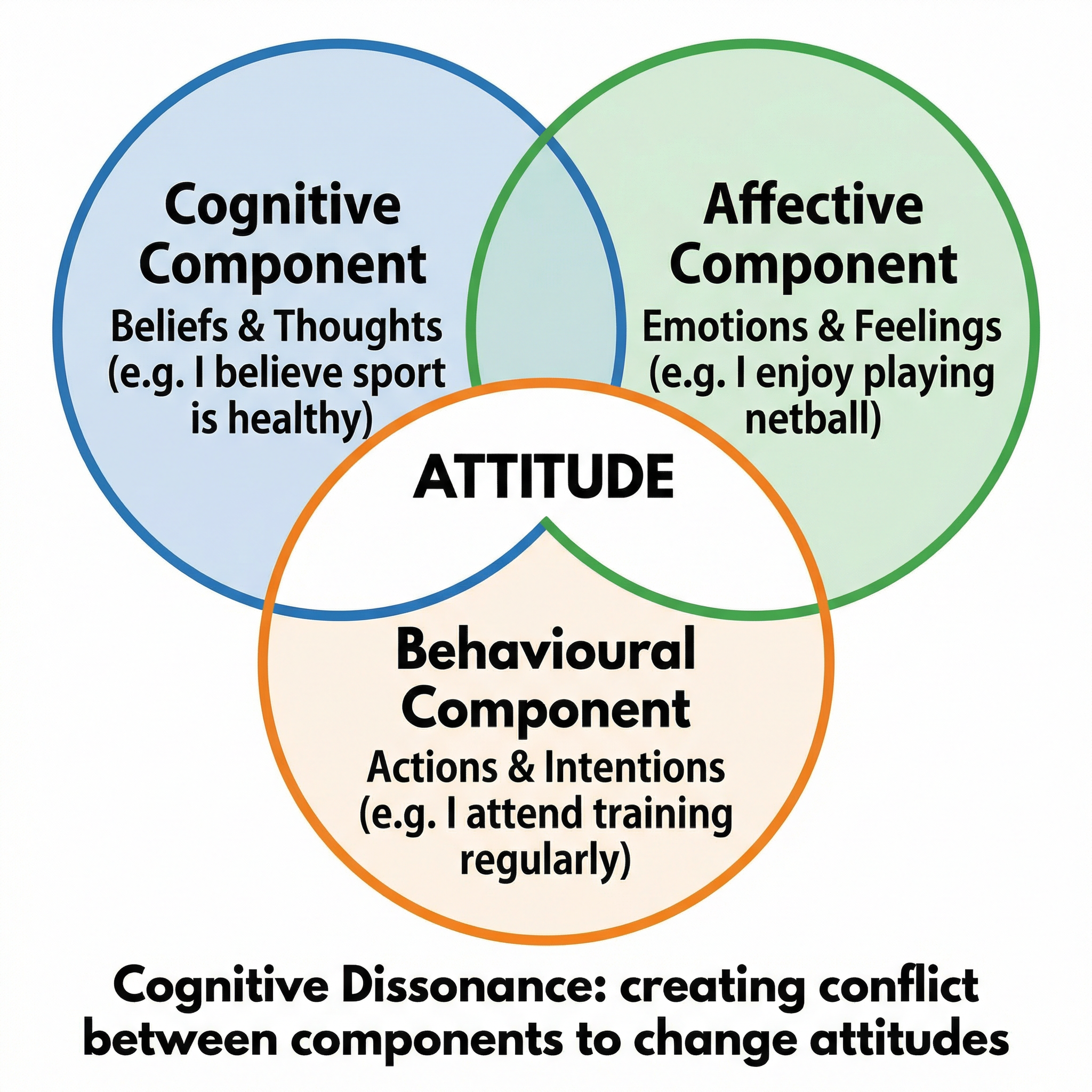 The Triadic Model of Attitudes (CAB).