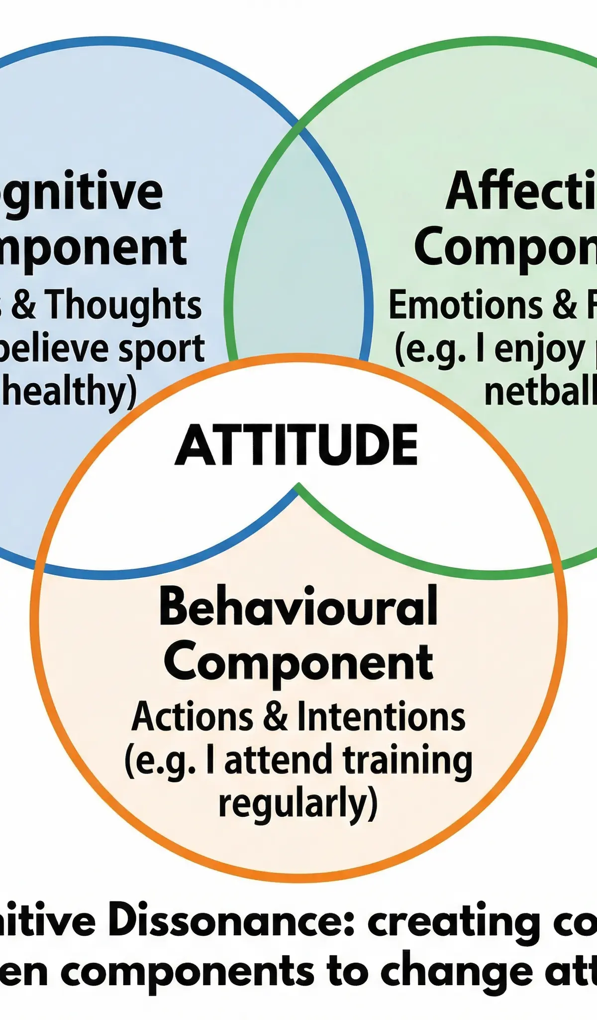 The Triadic Model of Attitudes (CAB).