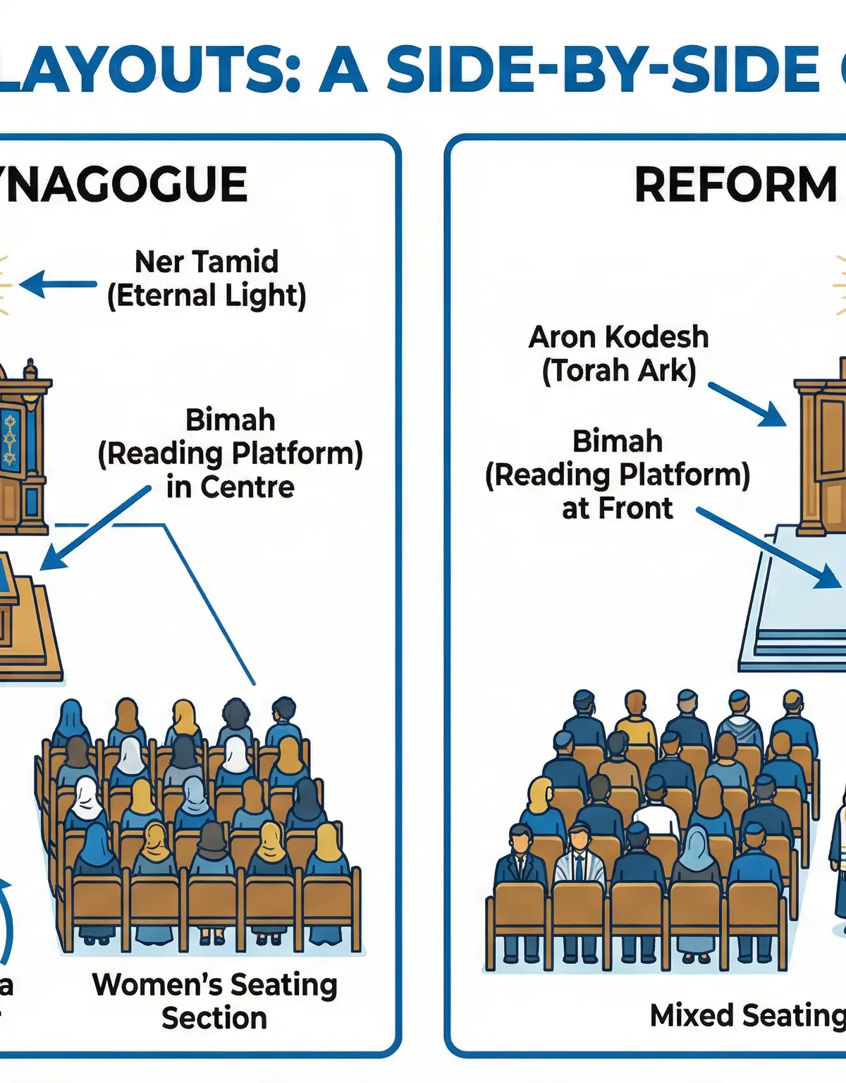 Key differences between Orthodox and Reform synagogue layouts.