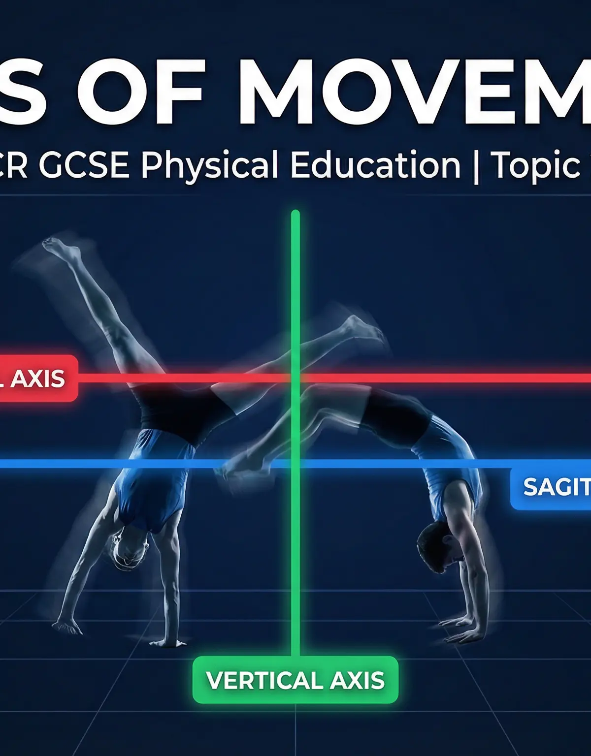 Header image for Axes of Movement: Sagittal, Frontal, and Vertical.