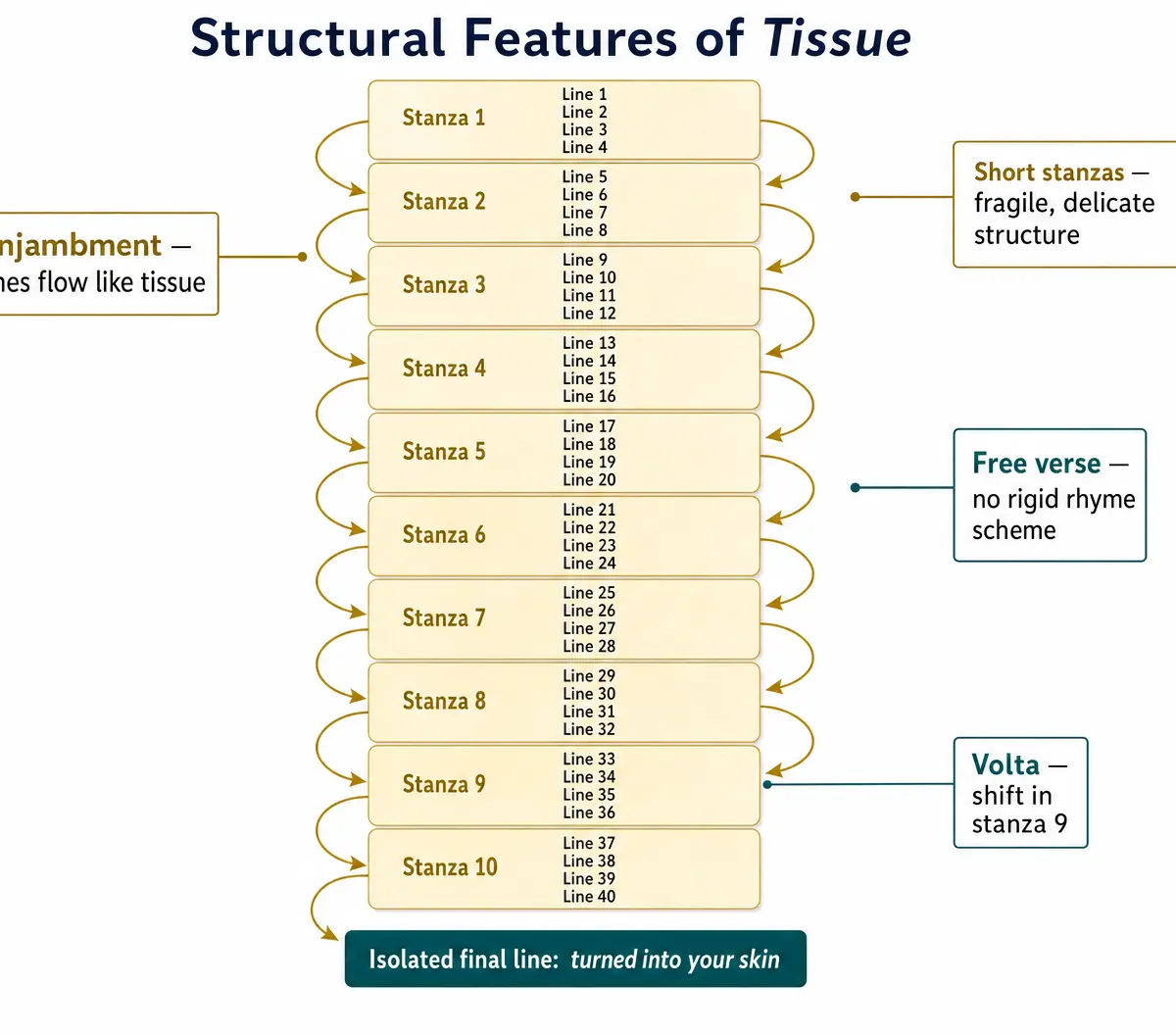 Tissue – English Literature – GCSE