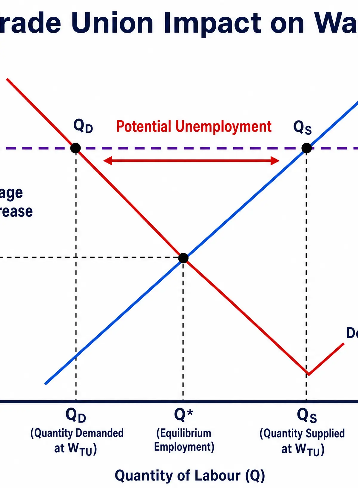 Trade Union Impact on Wages