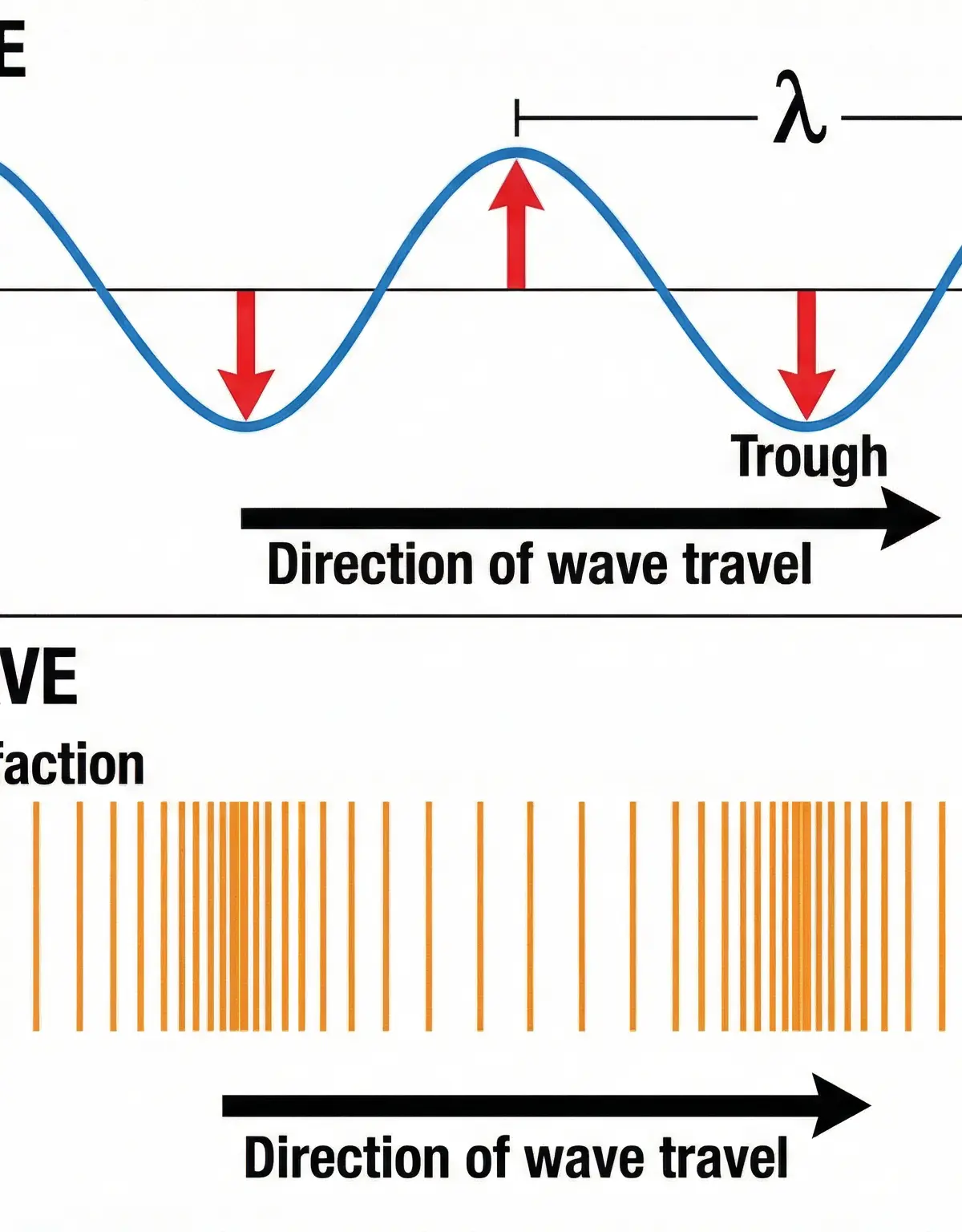 Transverse vs Longitudinal wave motion