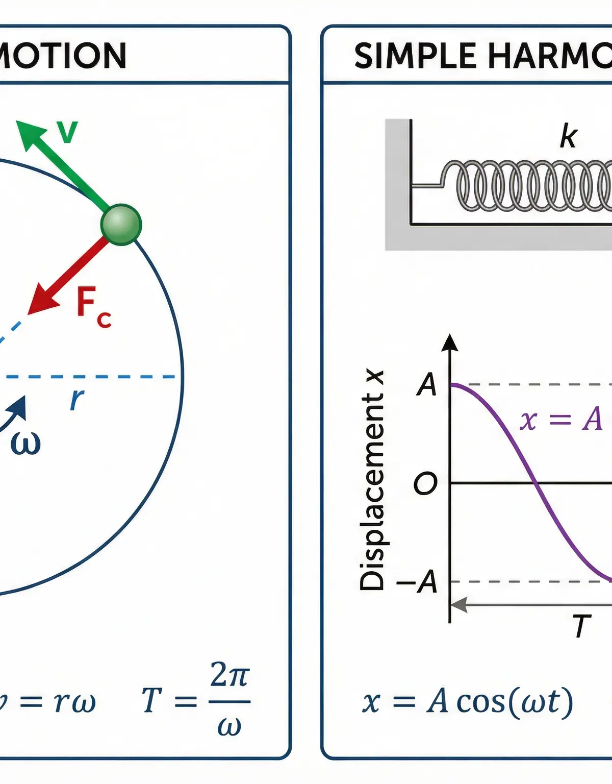Visualising Circular Motion and Simple Harmonic Motion.