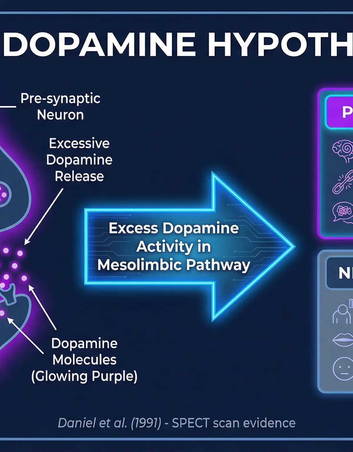 The Dopamine Hypothesis of Schizophrenia