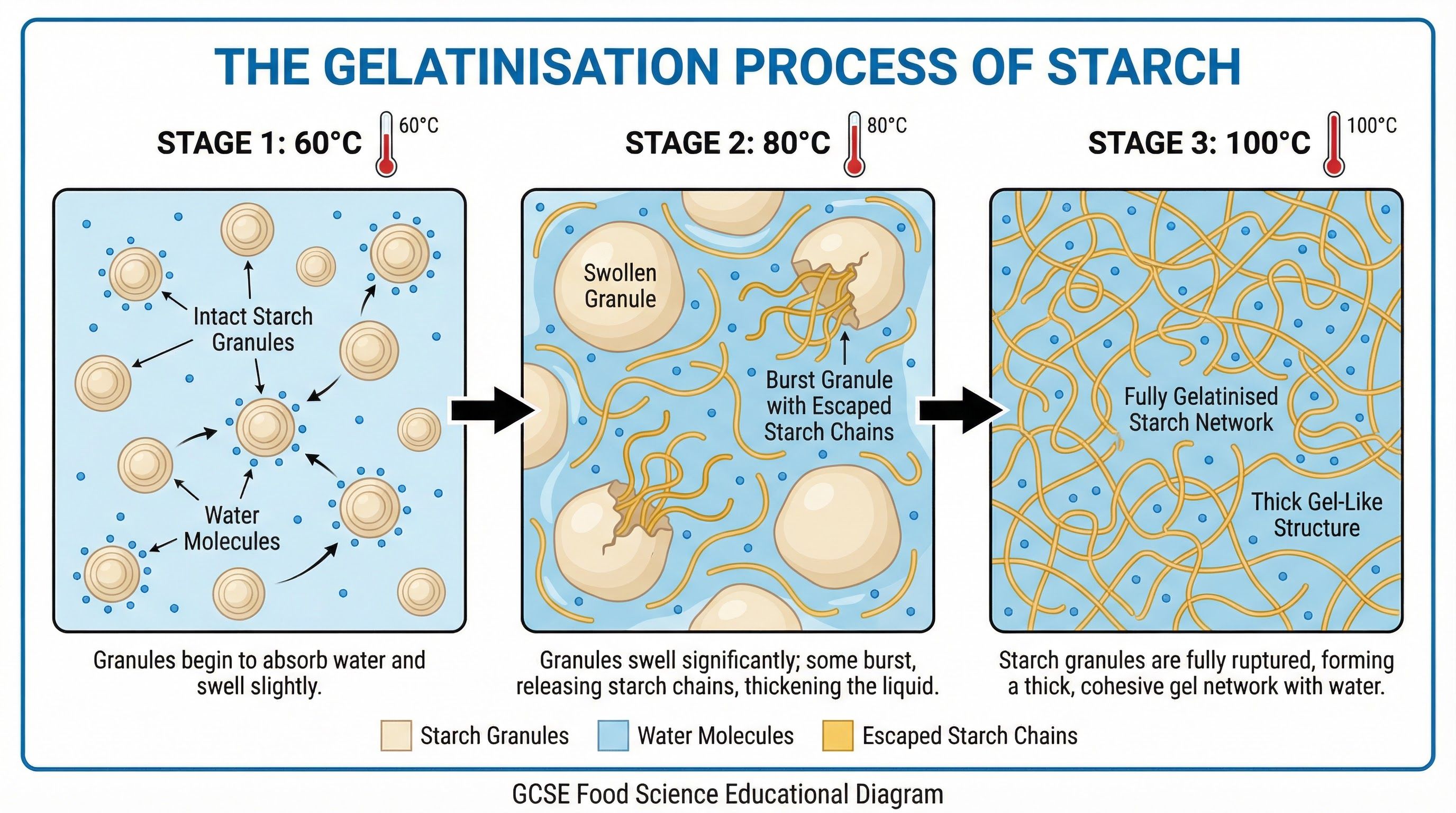 Functional and chemical properties of ingredients – Food Preparation and Nutrition – GCSE