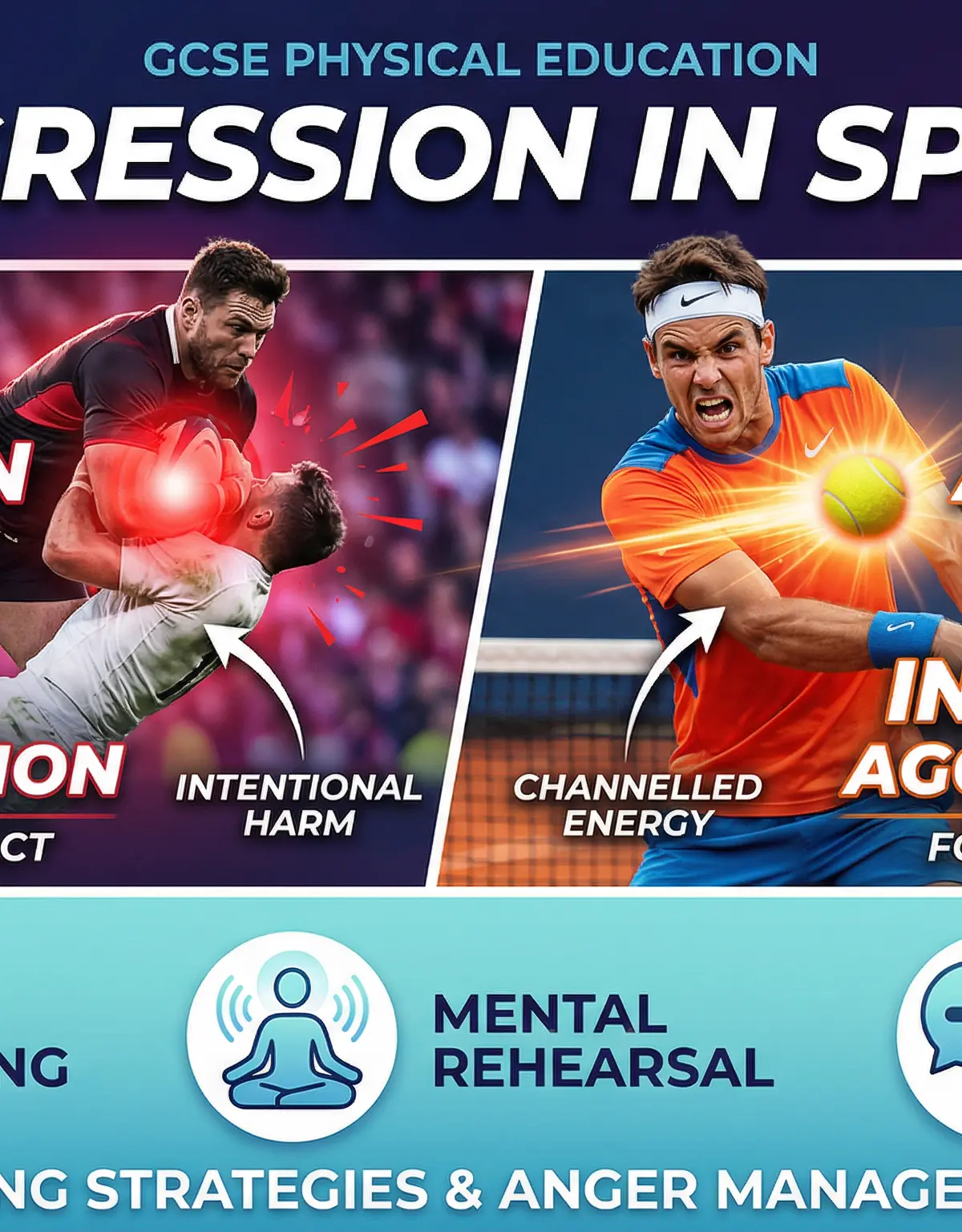Header image for Aggression: Types of Aggression and Strategies for Managing Aggression.
