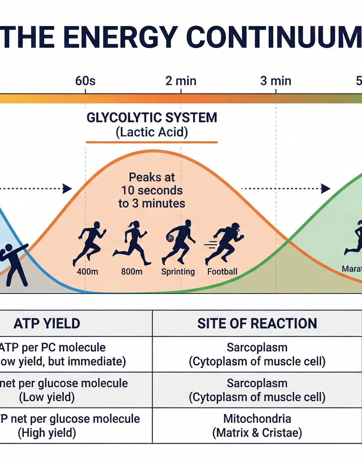 The Energy Continuum: Dominant systems by intensity and duration.