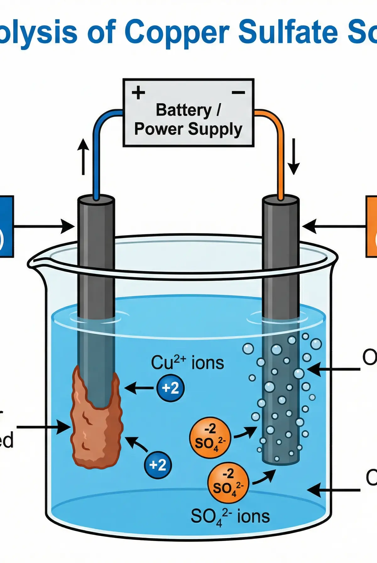 Electrolysis of Copper Sulfate Solution