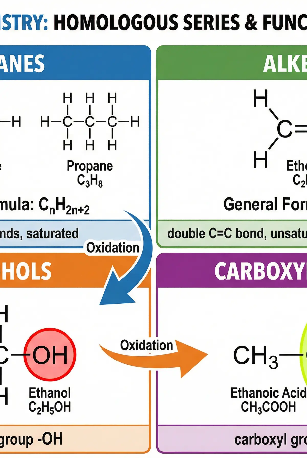 Organic Chemistry: Homologous Series & Functional Groups