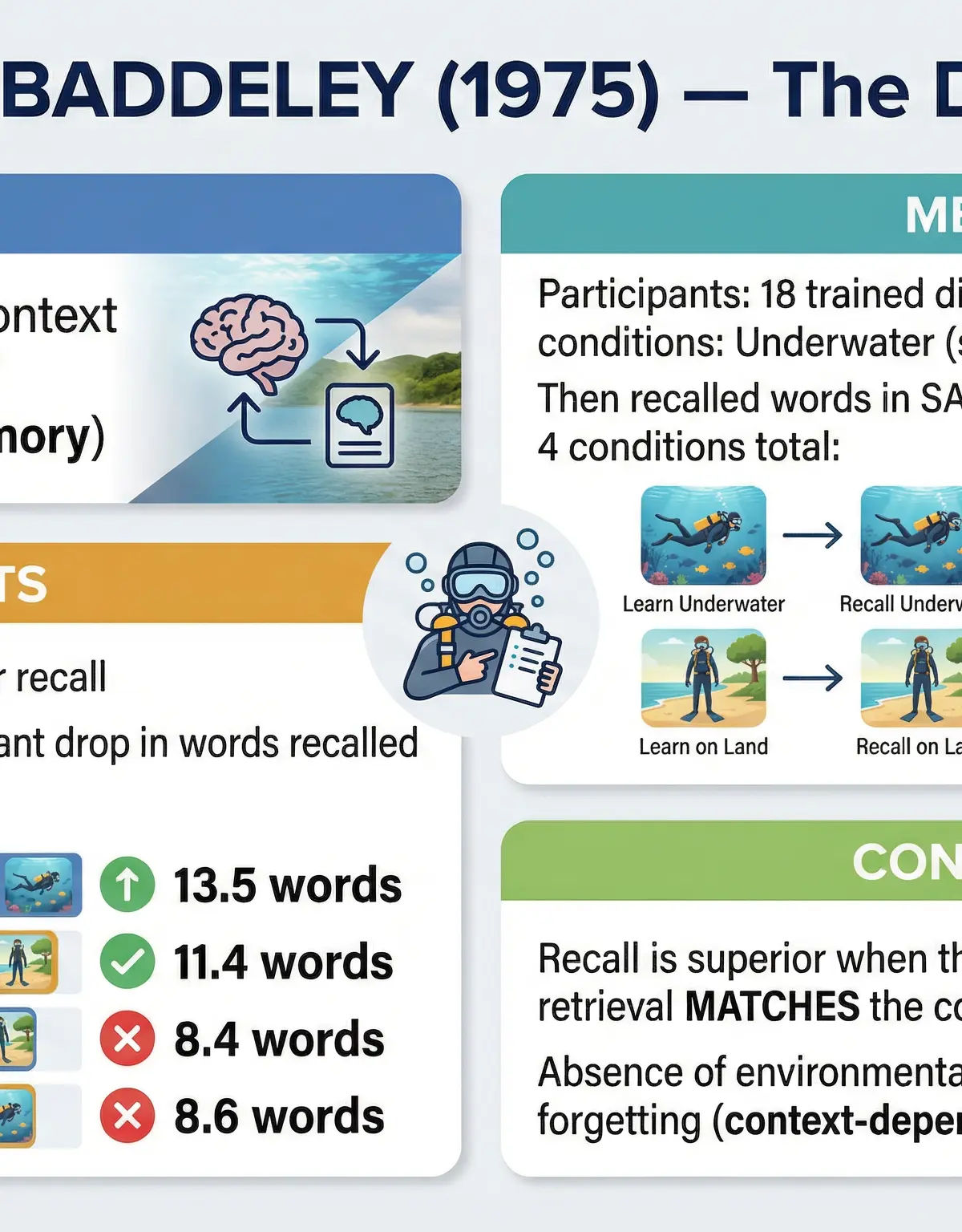 Forgetting – Psychology – GCSE