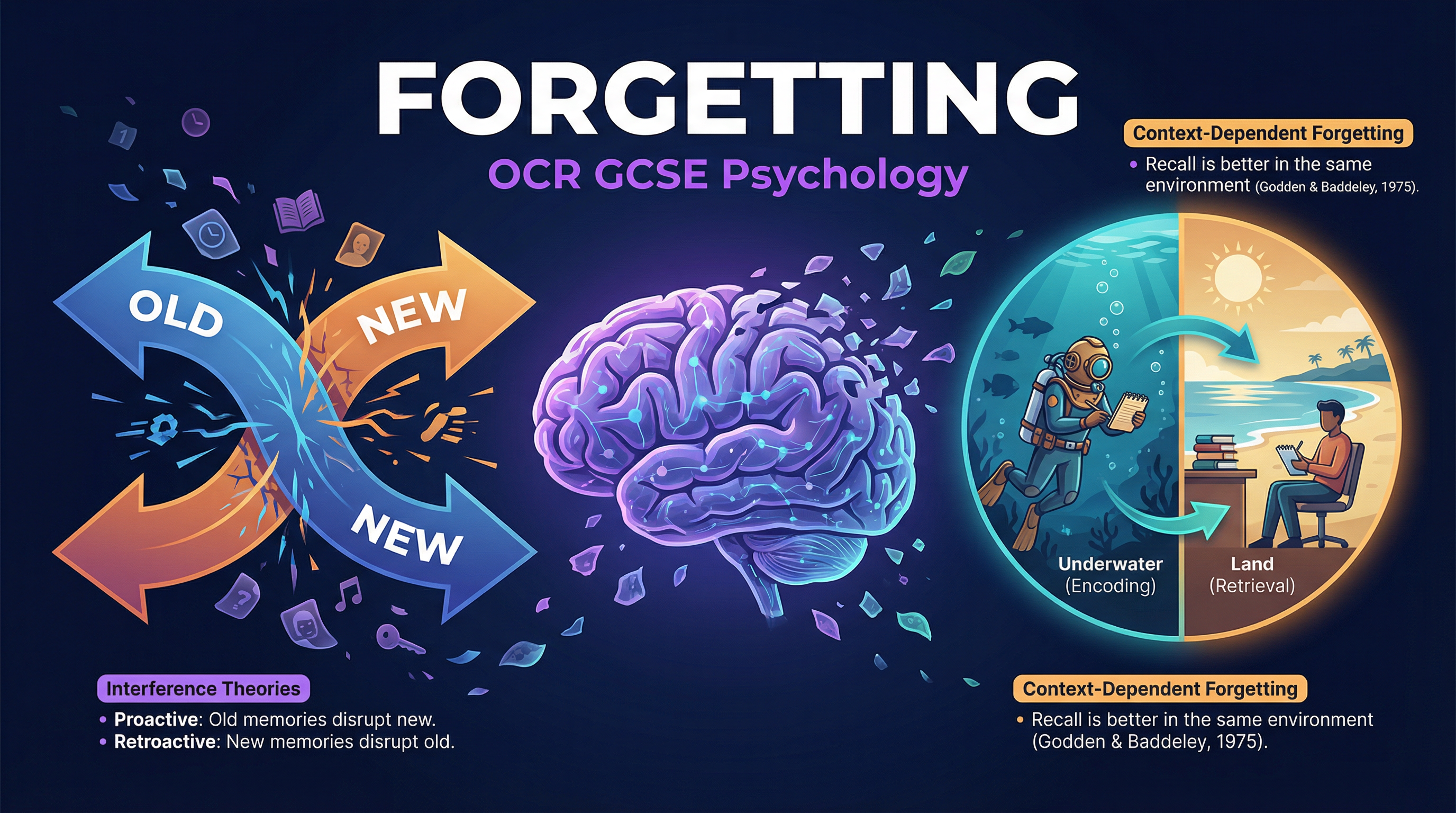 Forgetting – Psychology – GCSE