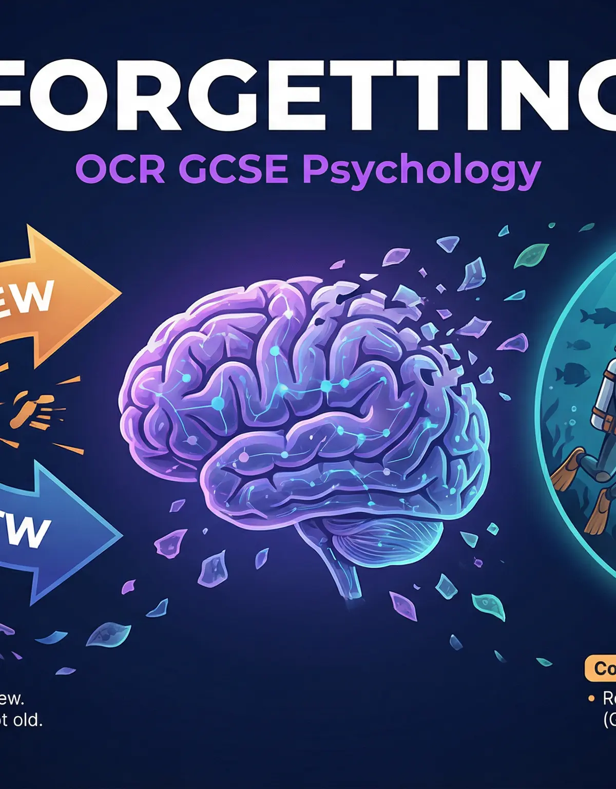 Forgetting – Psychology – GCSE