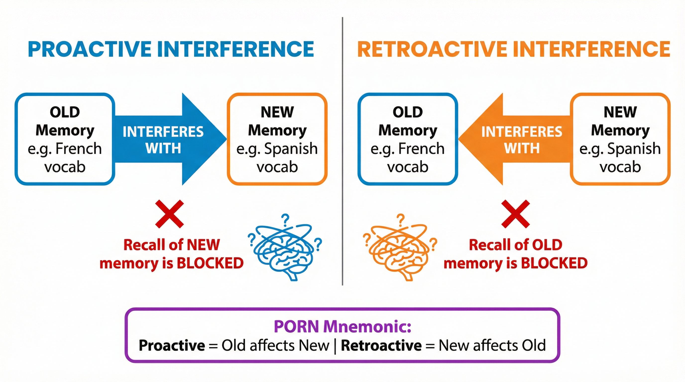 Forgetting – Psychology – GCSE