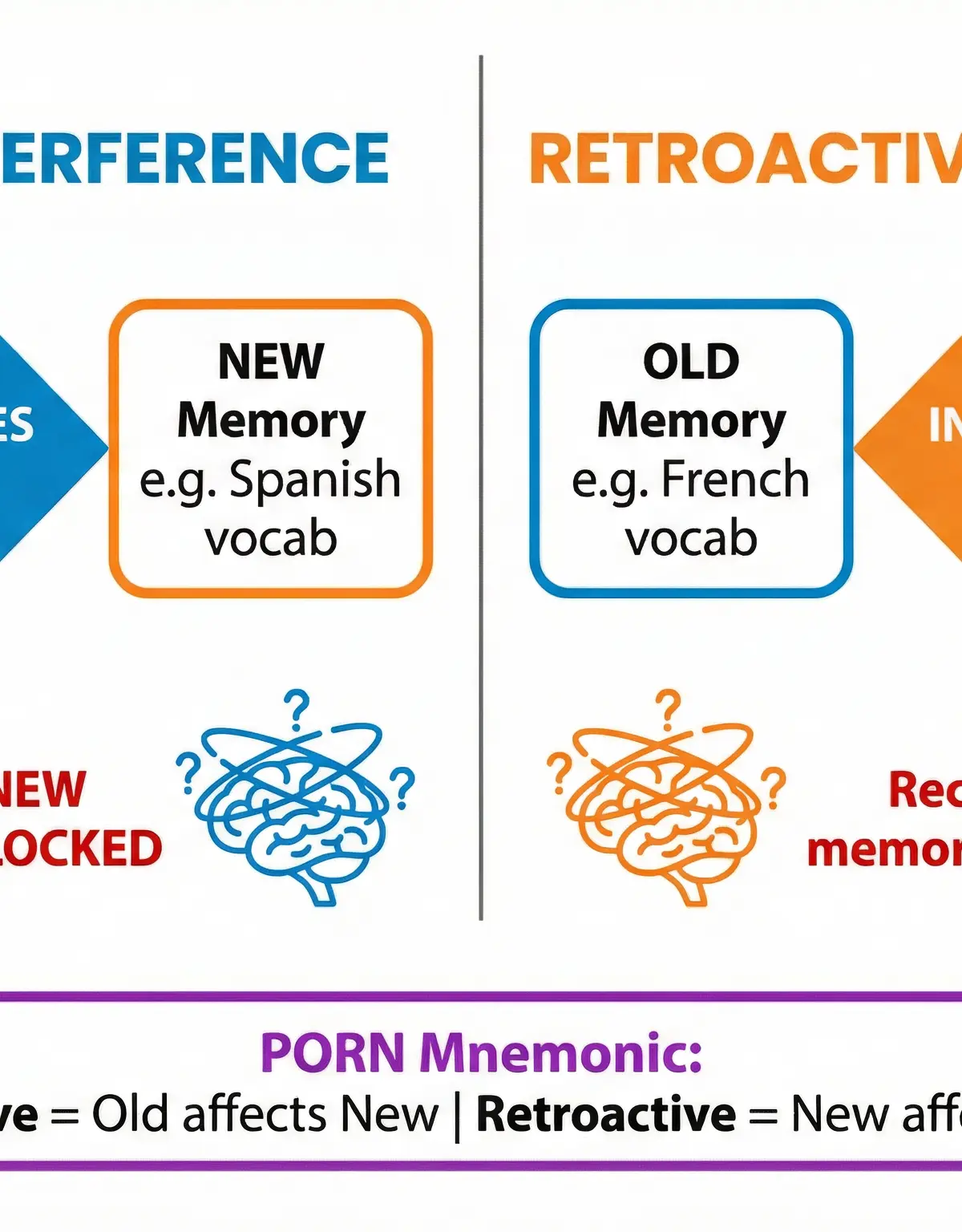 Forgetting – Psychology – GCSE