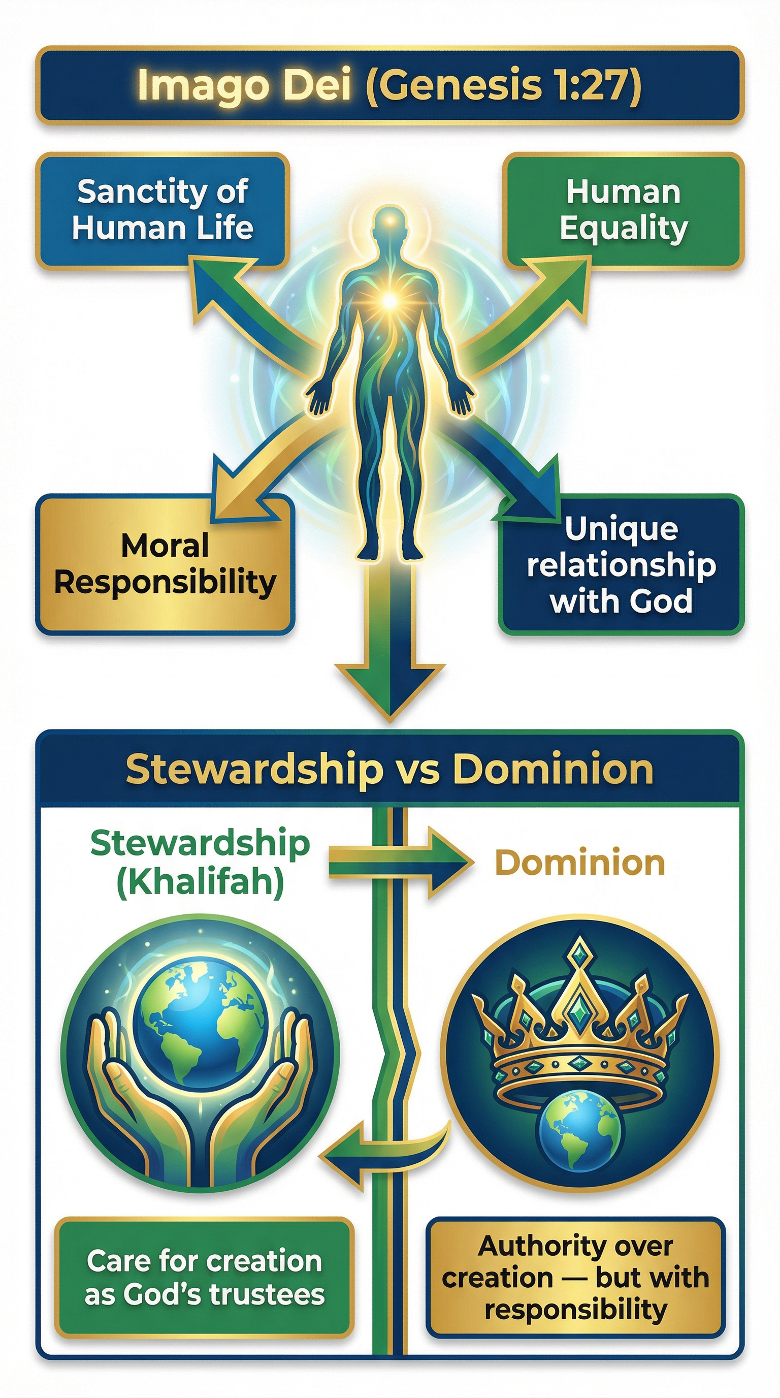 Diagram of Imago Dei and Stewardship