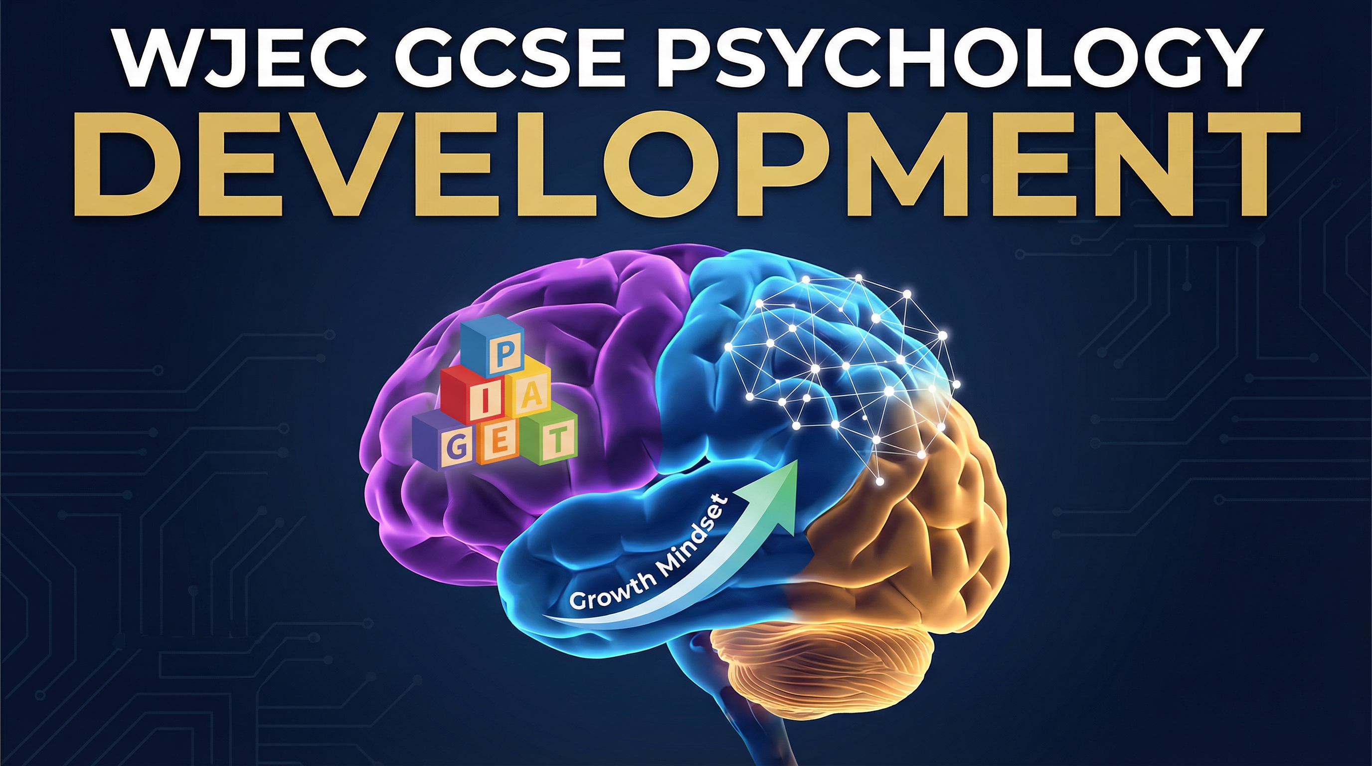 Development – Psychology – GCSE