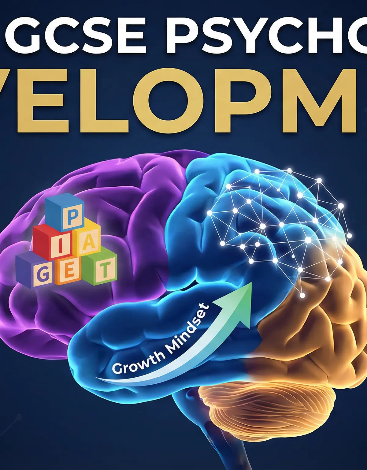 Development – Psychology – GCSE