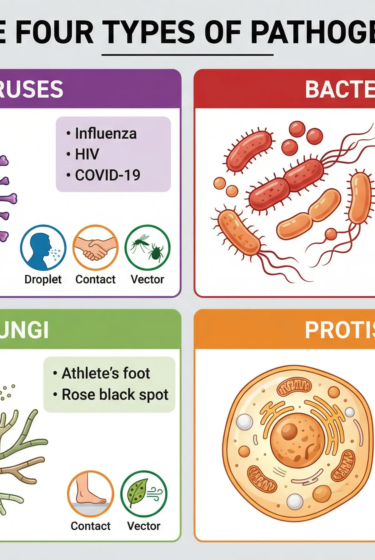 The four types of pathogens